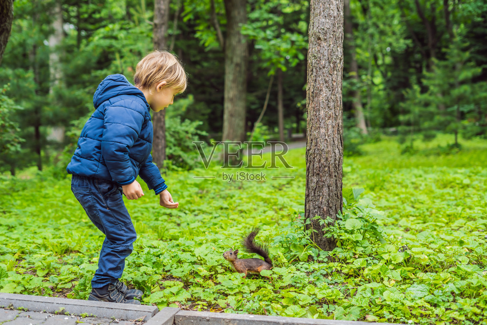 小男孩和小松鼠在公园里照片摄影图片