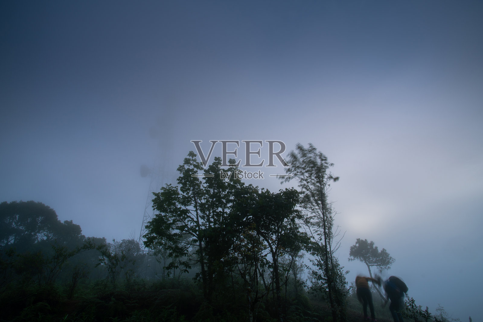 富士Phor照片摄影图片