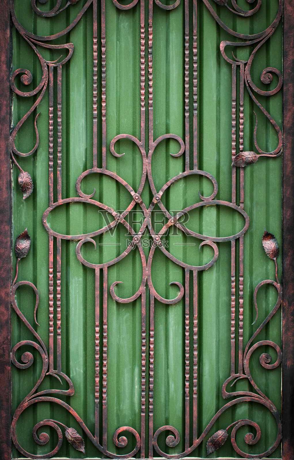 漂亮的装饰金属元素锻造锻铁门照片摄影图片