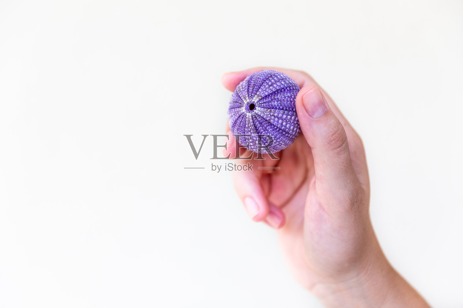 女人手里拿着一个顽童，背景是孤立的白色。照片摄影图片