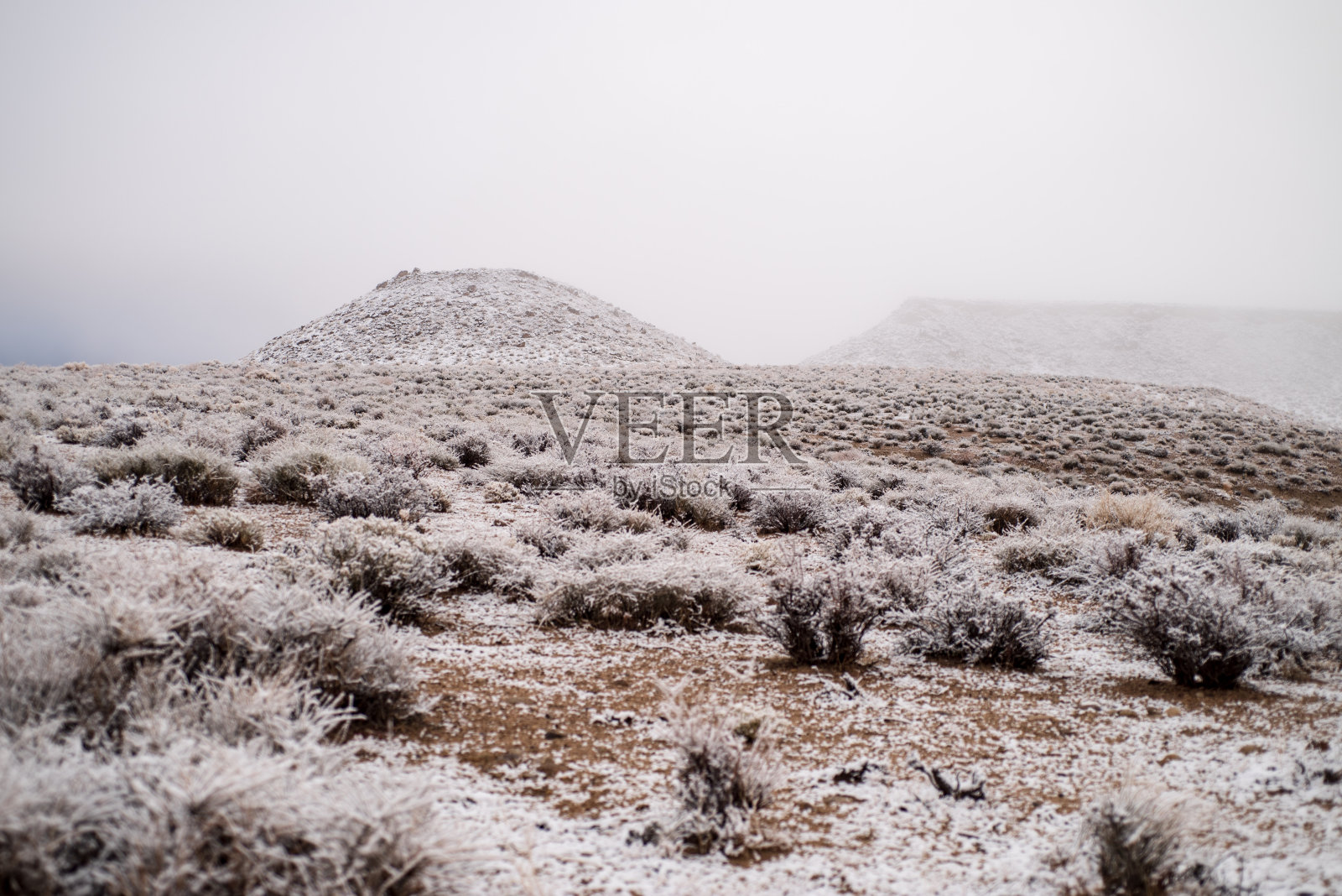 白雪皑皑的沙漠景观，多雾，多云，寒冷的早晨照片摄影图片