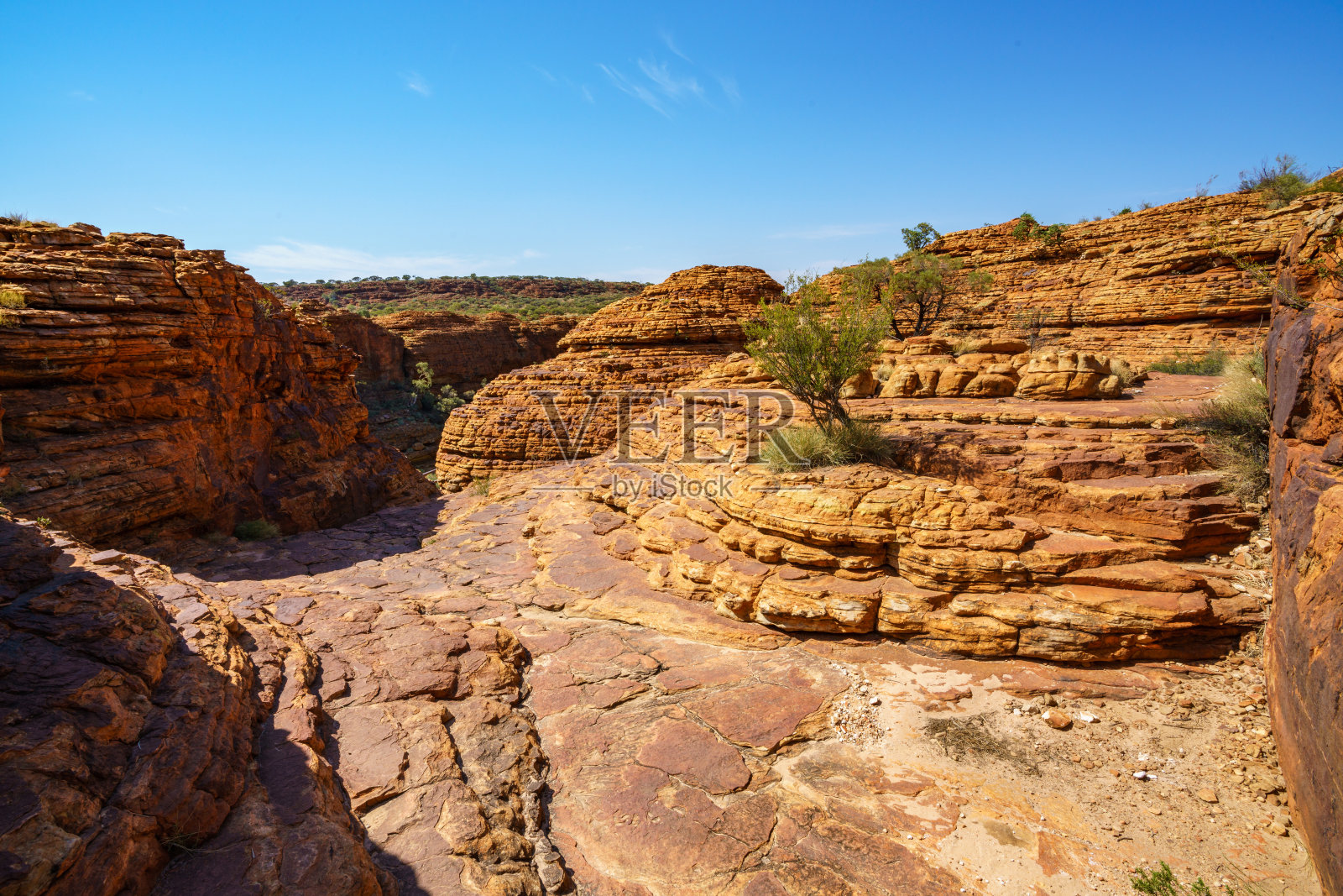 在阳光下的国王峡谷徒步旅行，watarka国家公园，北领地，澳大利亚照片摄影图片
