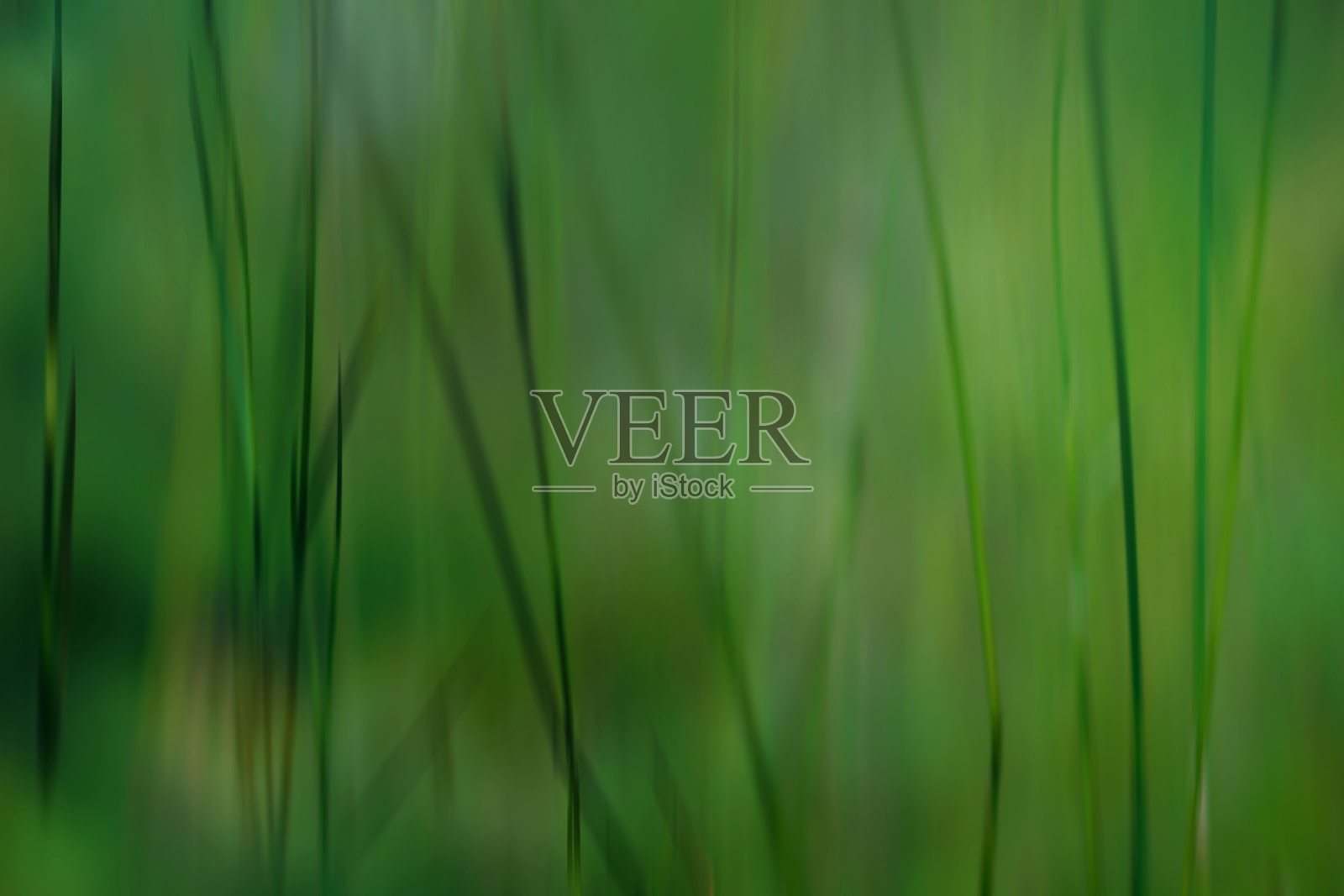 一幅对草和草叶的抽象无聚焦特写摄影照片摄影图片