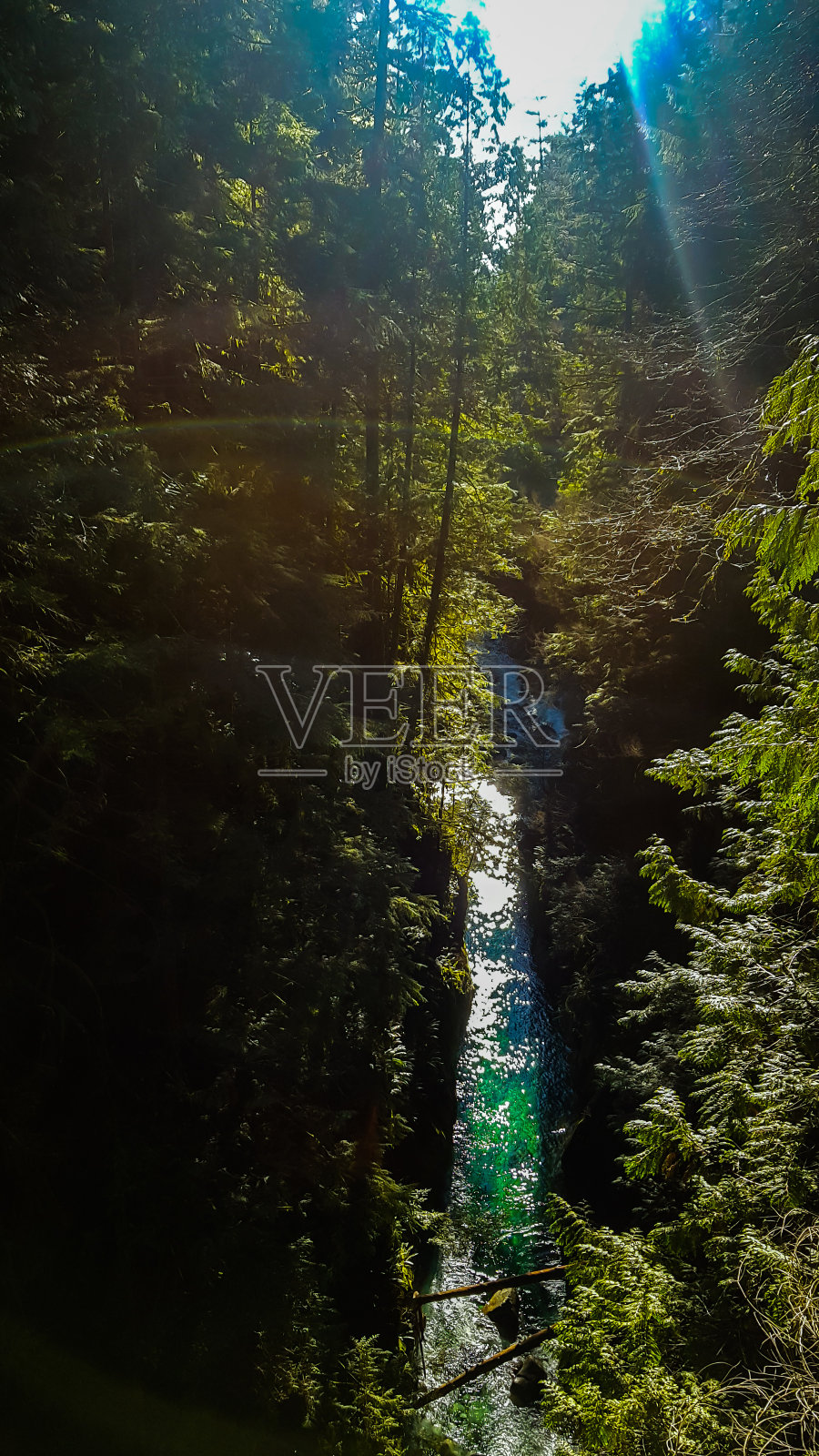 林恩峡谷公园照片摄影图片