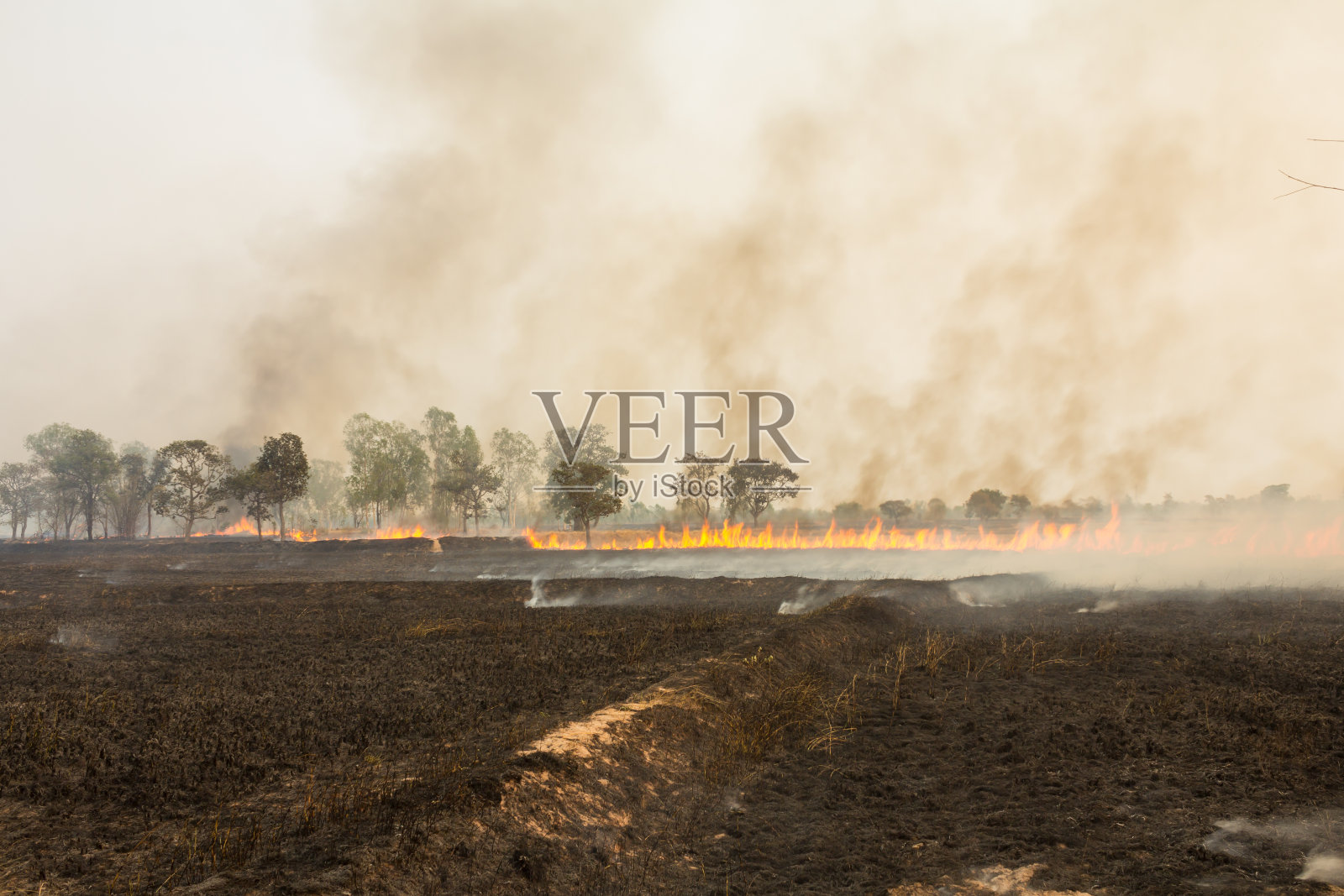 消防领域照片摄影图片