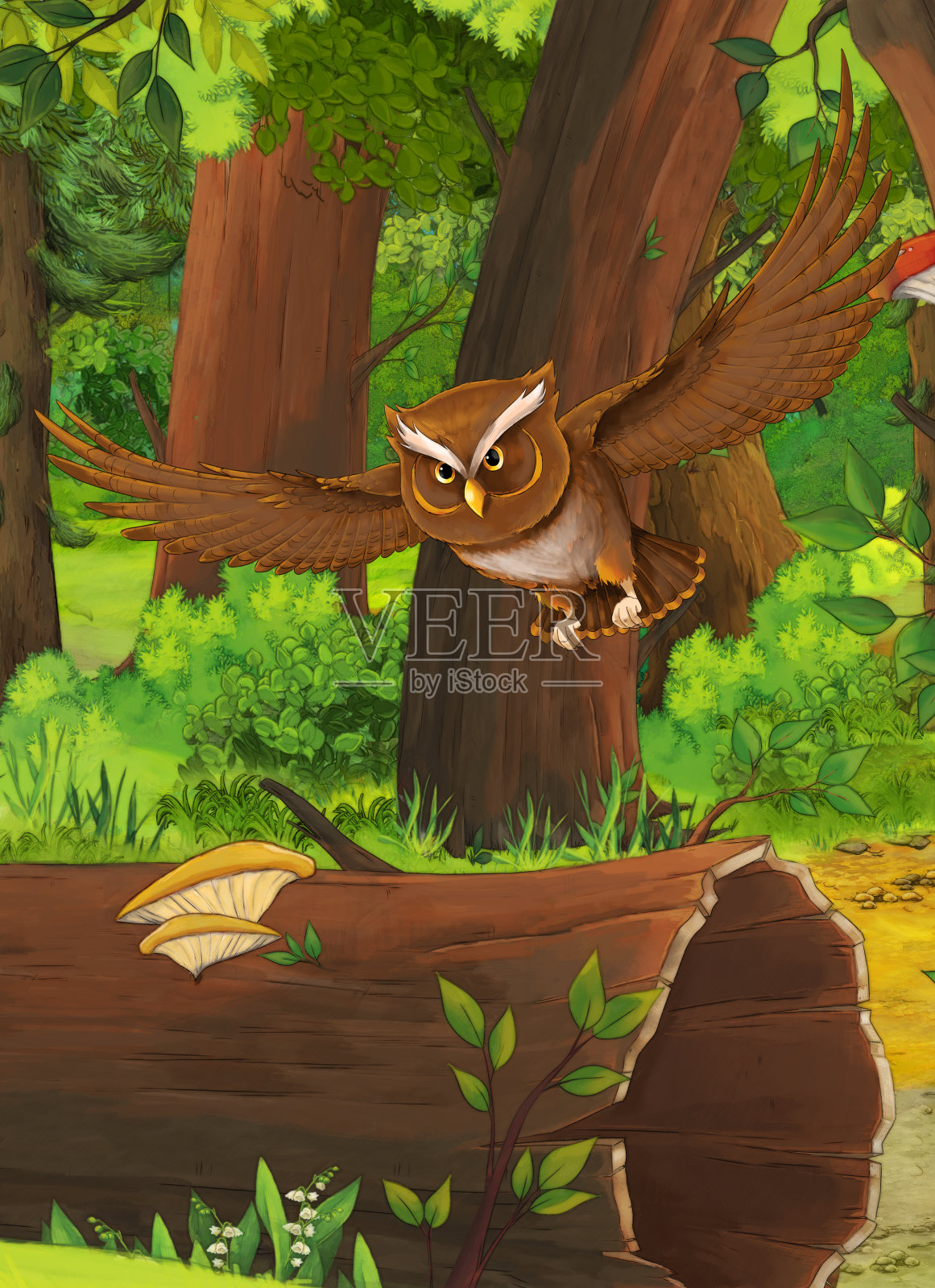 卡通夏季场景与深森林和鸟猫头鹰-没有人在现场插画图片素材