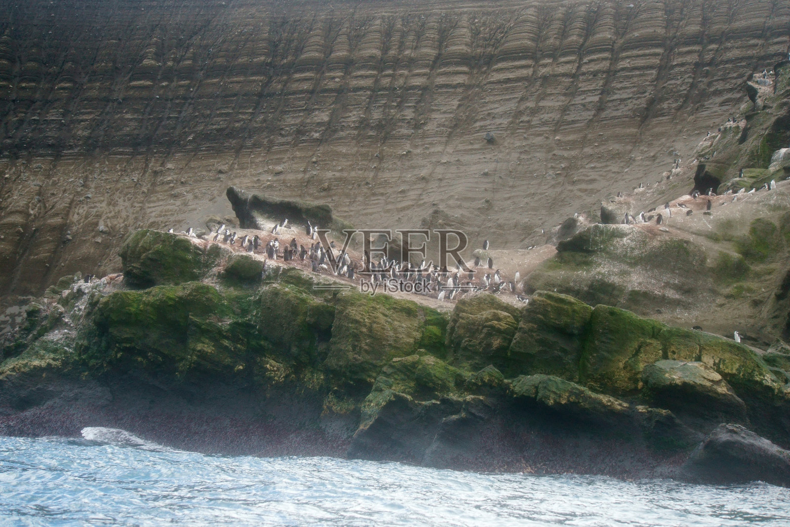 南极洲的半月岛照片摄影图片