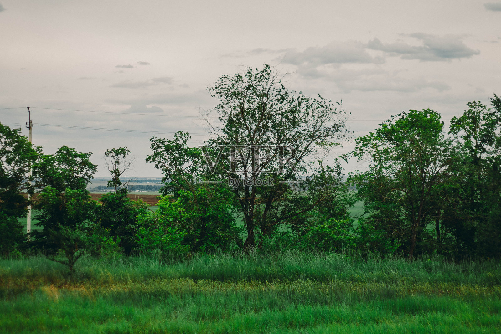 草原风景照片摄影图片