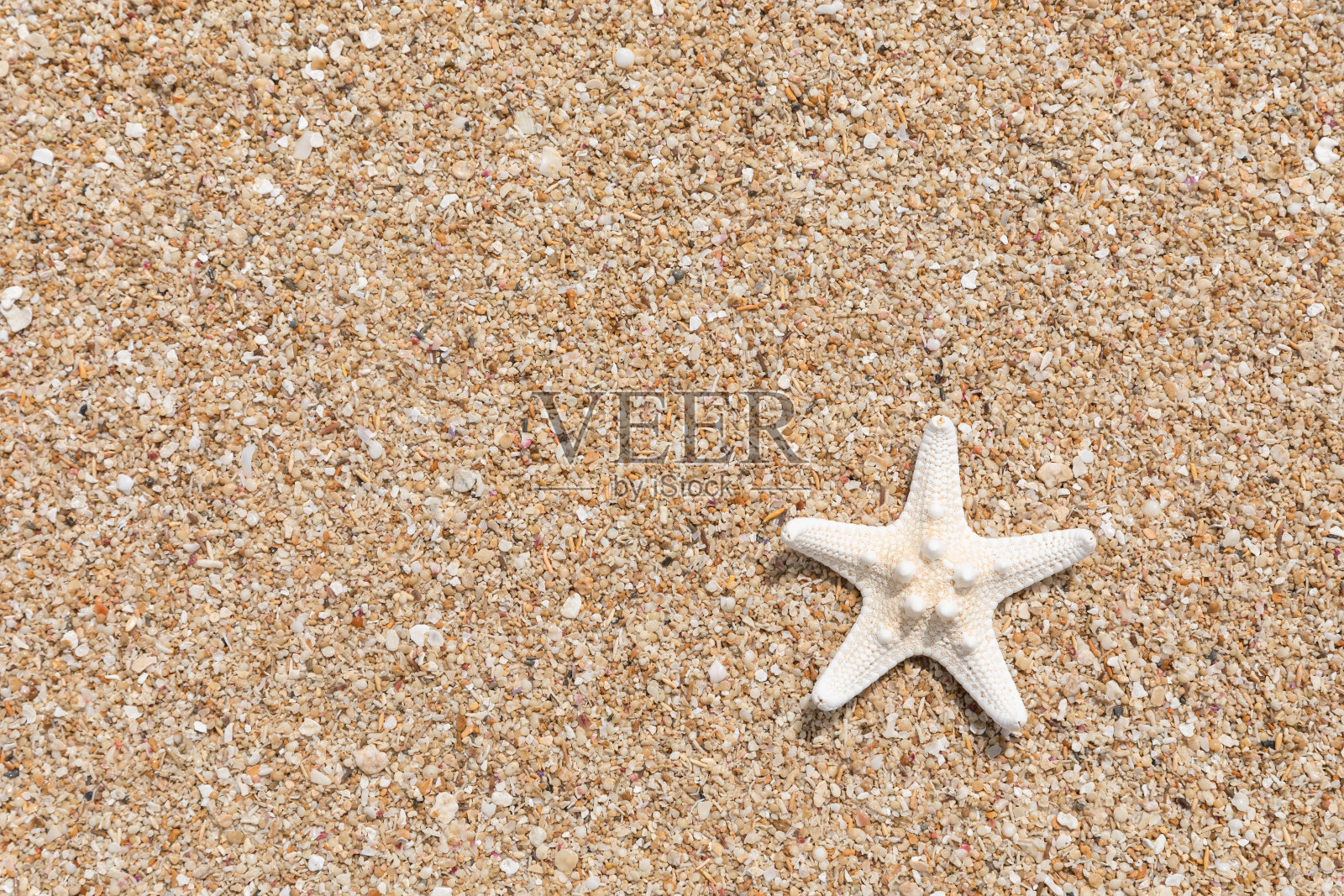 珊瑚砂背景材料照片摄影图片