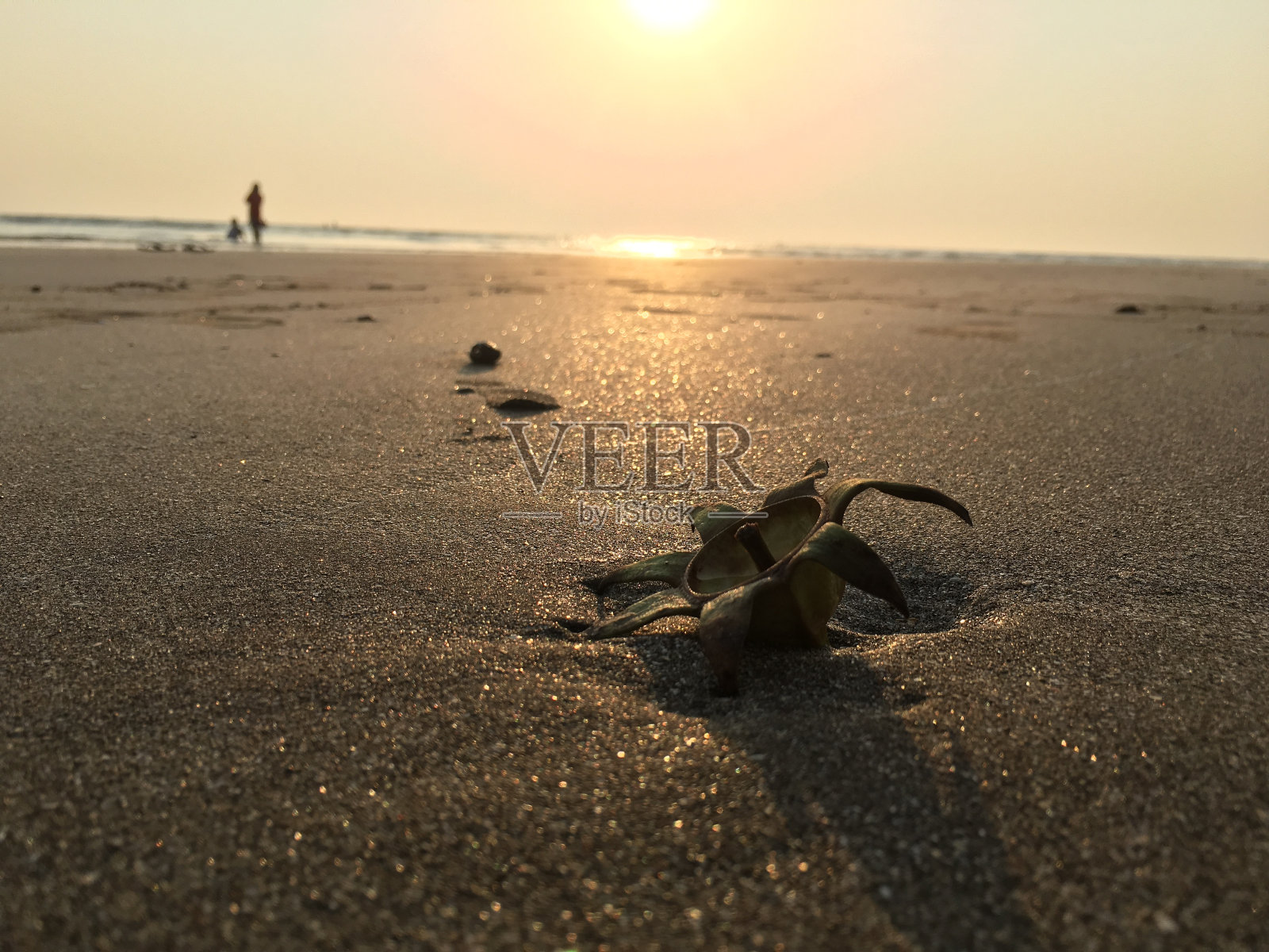 去海滩度假照片摄影图片