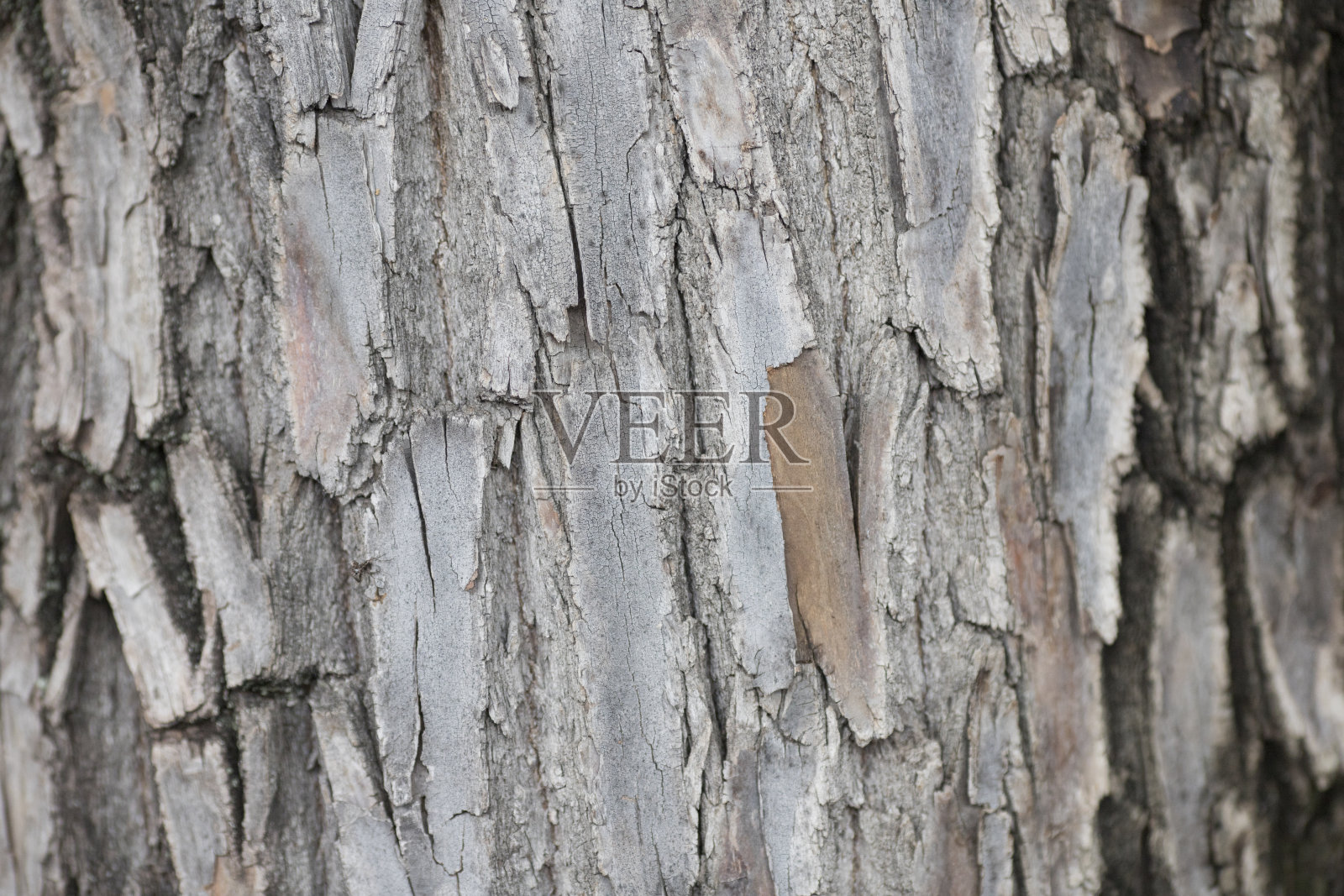 木质材料的背景照片摄影图片