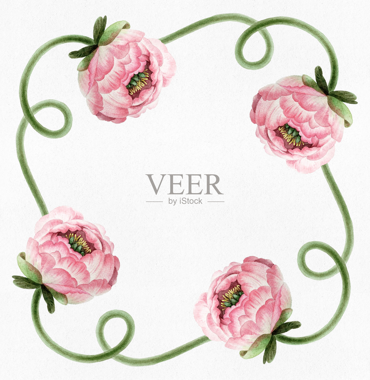 模式与牡丹插画图片素材