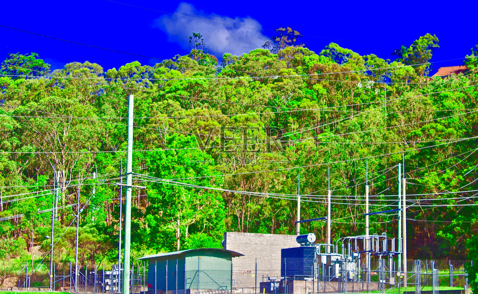 变电站内树逸照片摄影图片