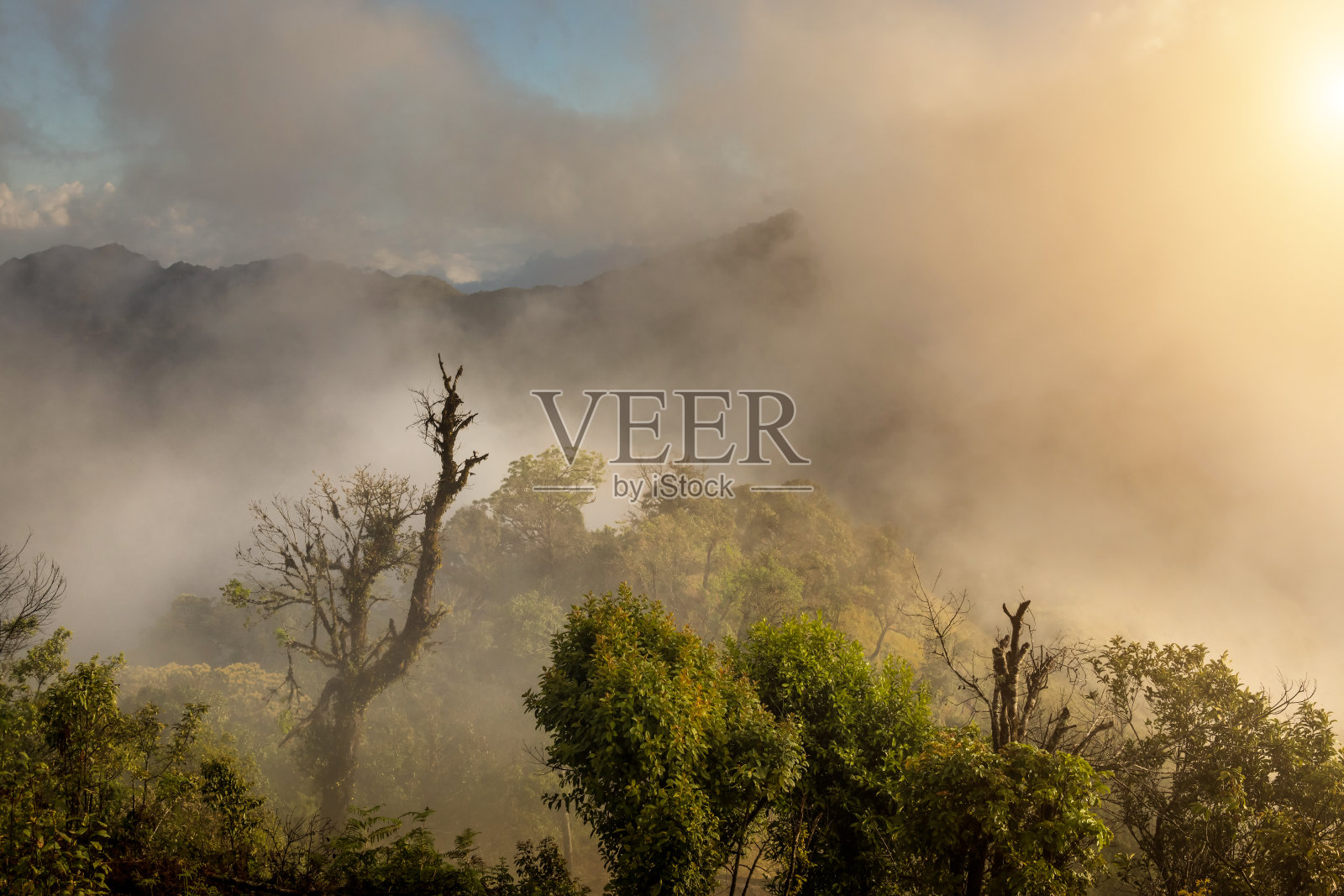 清莱泰国照片摄影图片