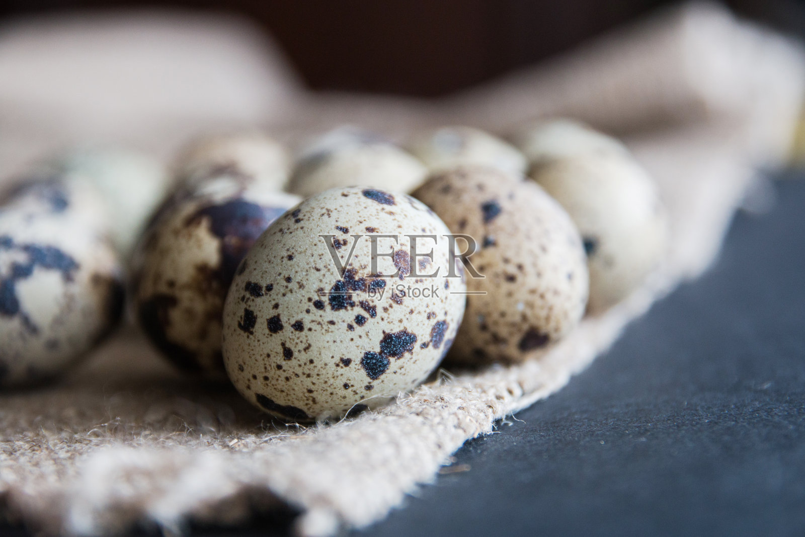 纹理弹簧背景与小鹌鹑蛋在粗麻布背景。Ecoproduct。有选择性的重点照片摄影图片