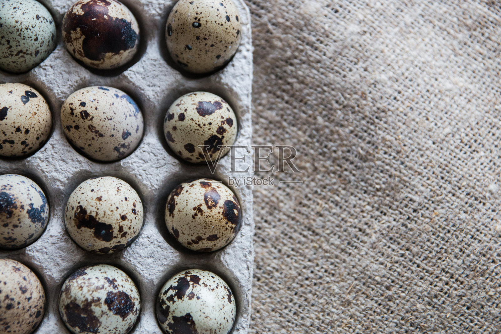 纹理弹簧背景与小鹌鹑蛋在粗麻布背景。生态产品。硬纸板包装的鹌鹑蛋照片摄影图片