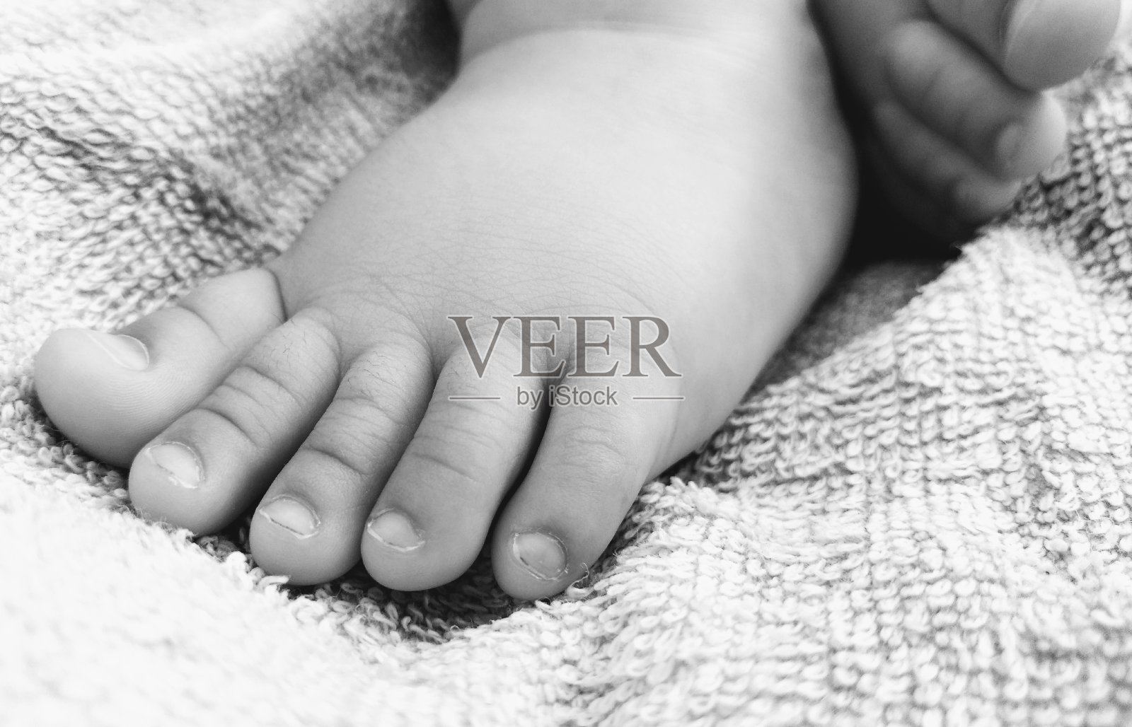 宝宝的脚照片摄影图片