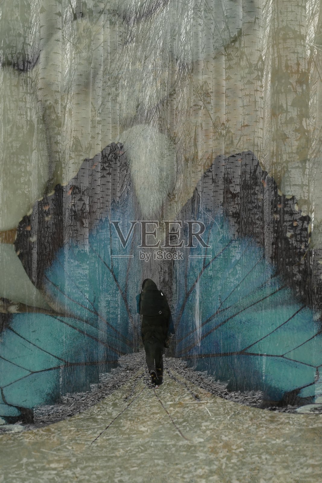 图形化照片摄影图片