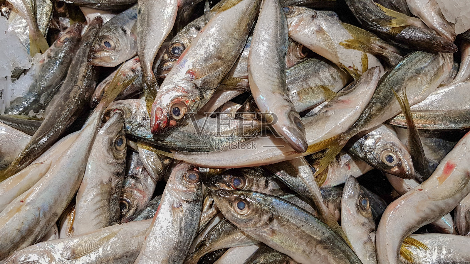 凤尾鱼、火腿、鱼市照片摄影图片