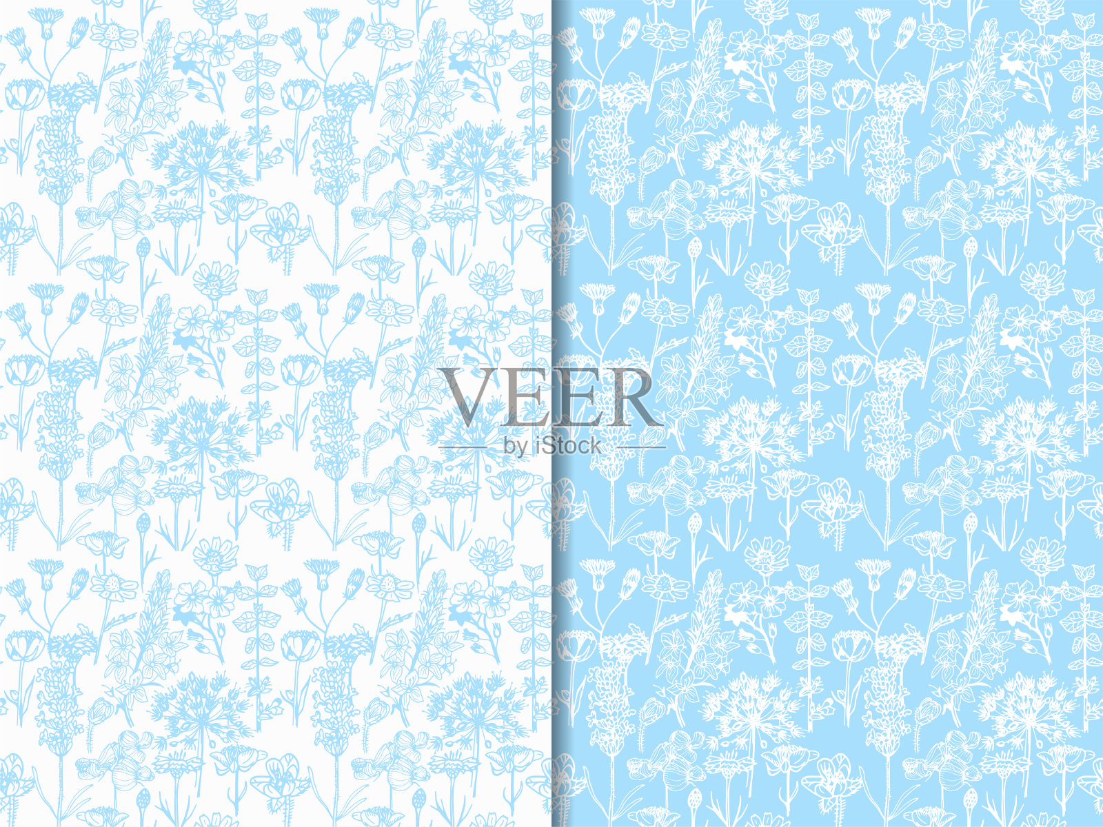 无缝花卉图案与野花插画图片素材