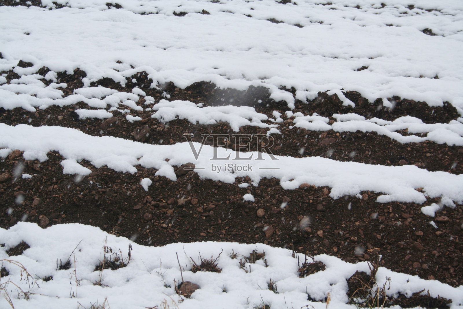 冬天被雪覆盖的耕地照片摄影图片