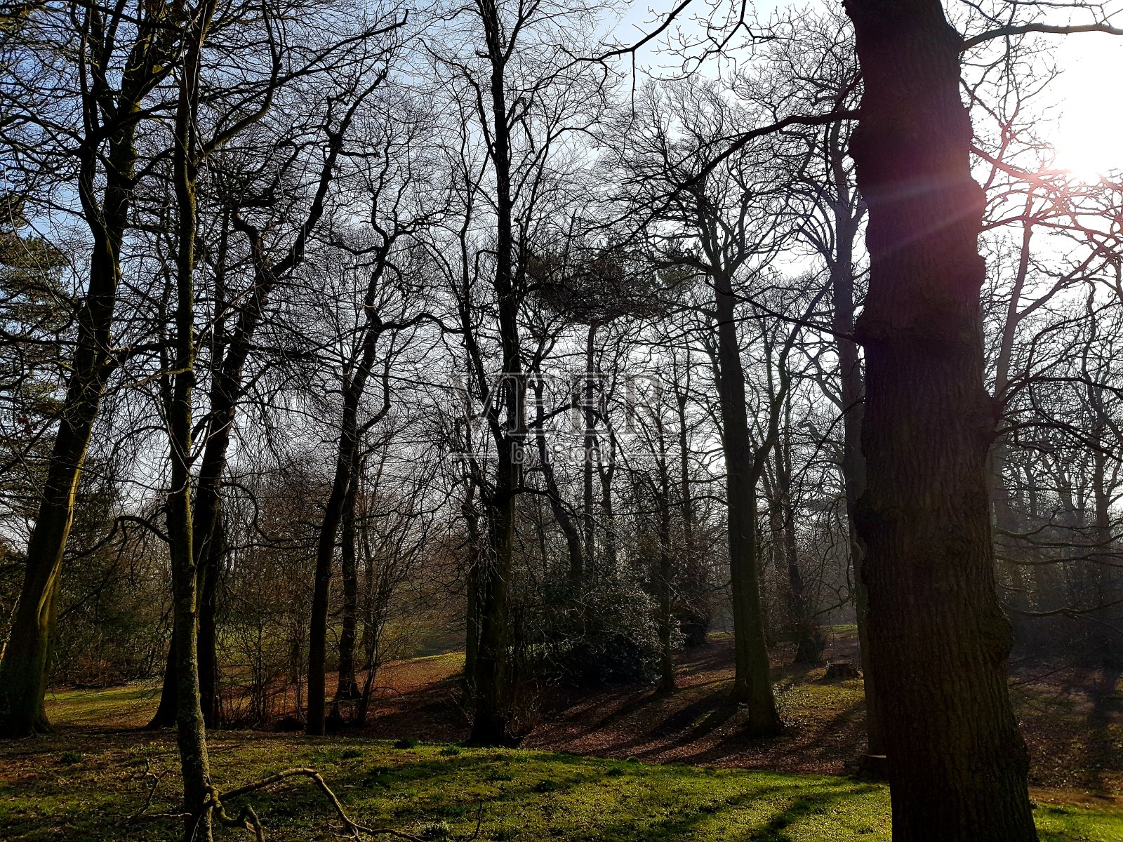 树木繁茂的地区照片摄影图片