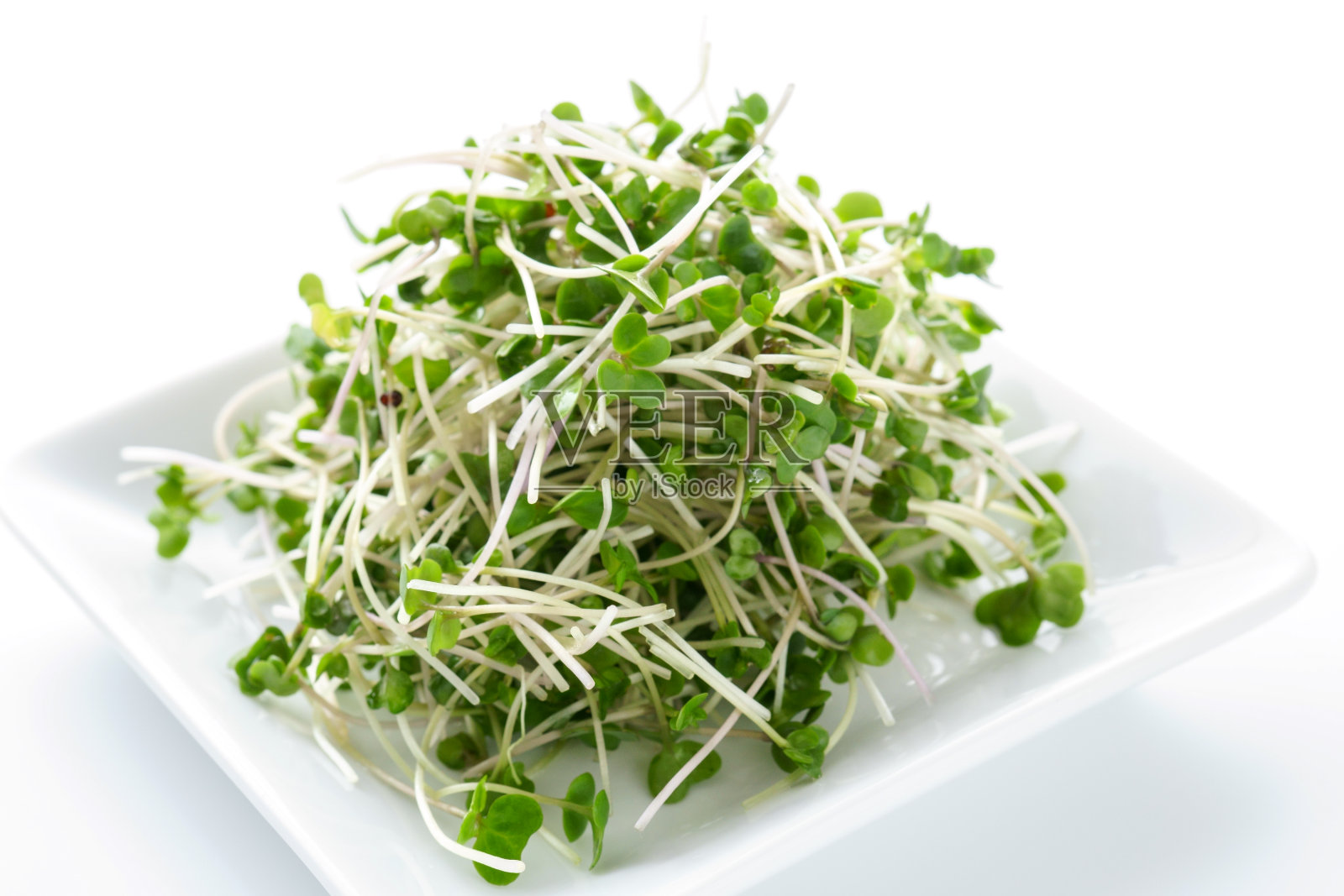 白色背景上的花椰菜芽。照片摄影图片