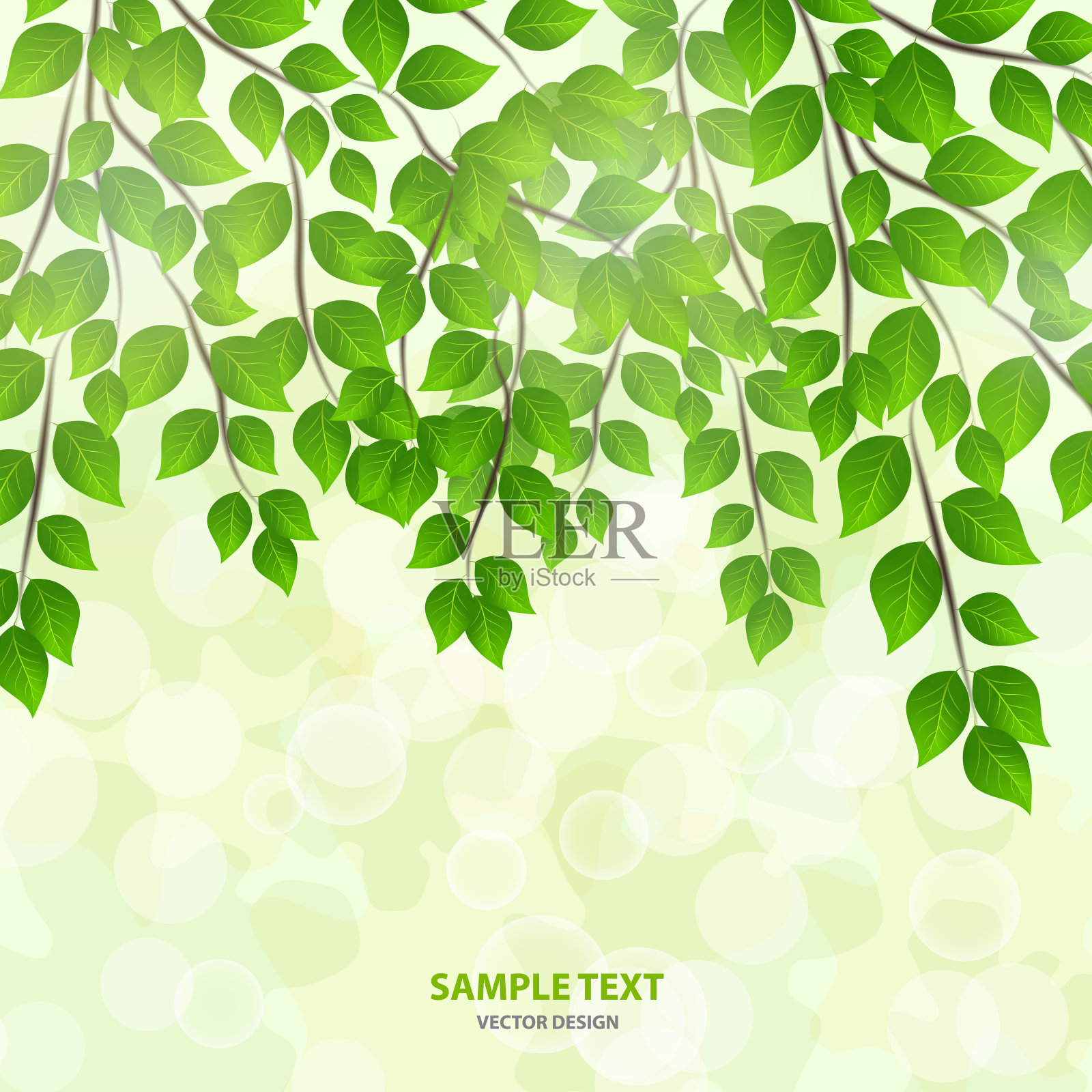 森林背景与阳光透过绿叶。绿色的背景与新鲜的春天树叶，闪耀和阳光。嫩叶在春日的晨光中。特写镜头。——矢量图形插画图片素材