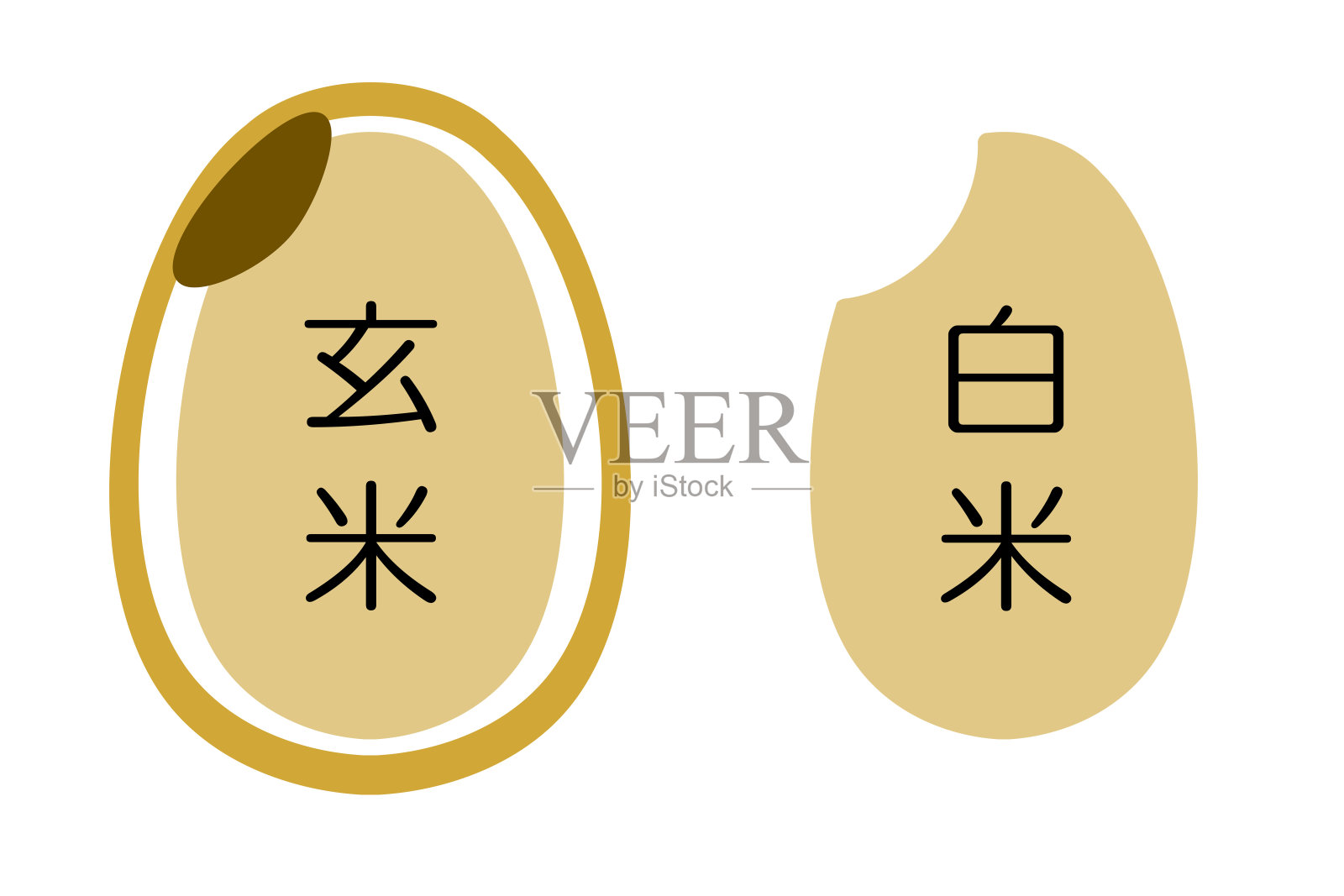 糙米和米照片摄影图片