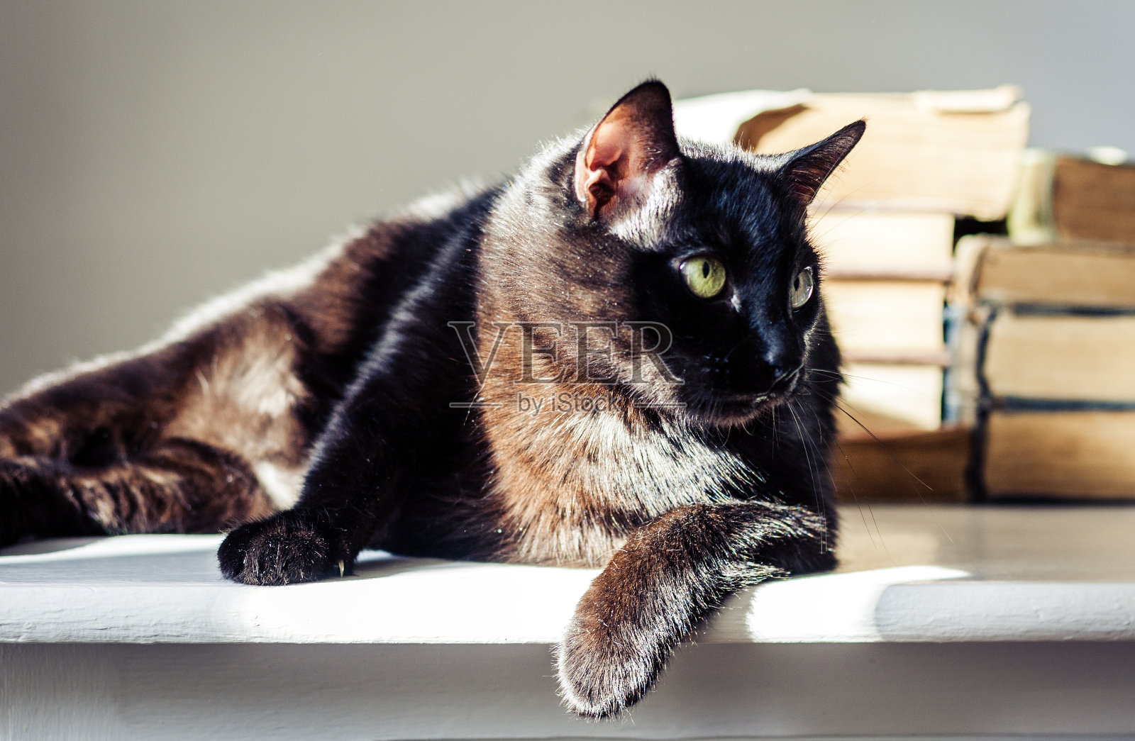 黑猫躺在白色的桌子上，背景是一堆旧书。照片摄影图片