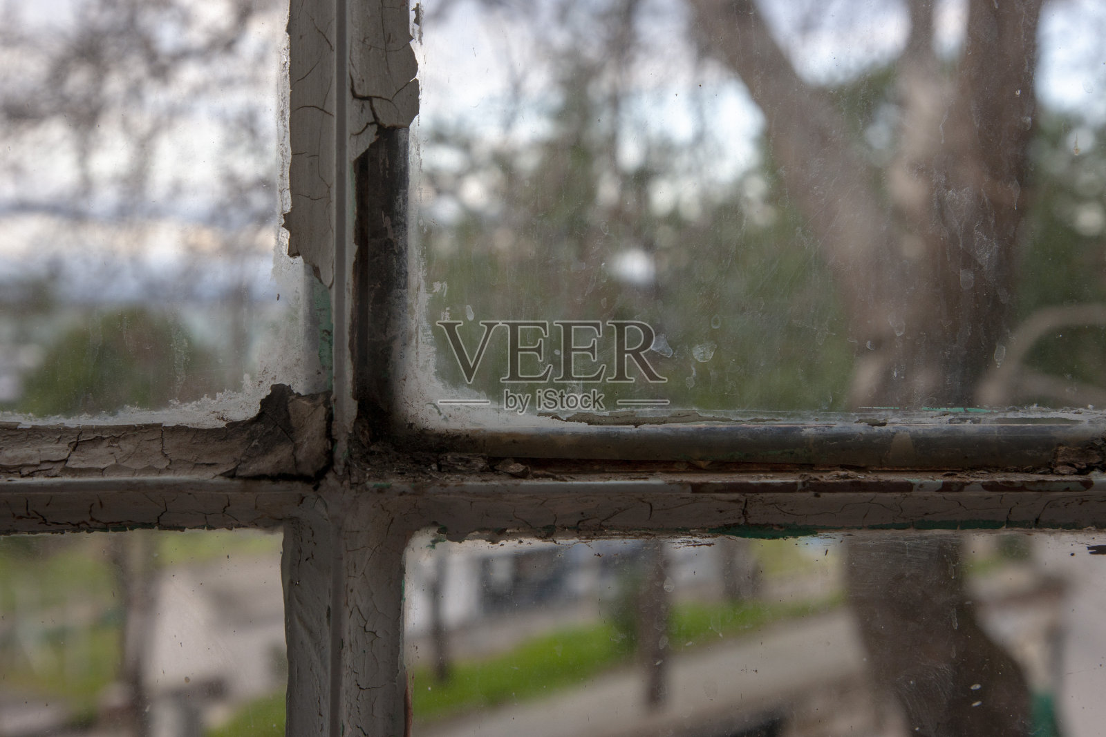 从肮脏的窗户到花园景观照片摄影图片
