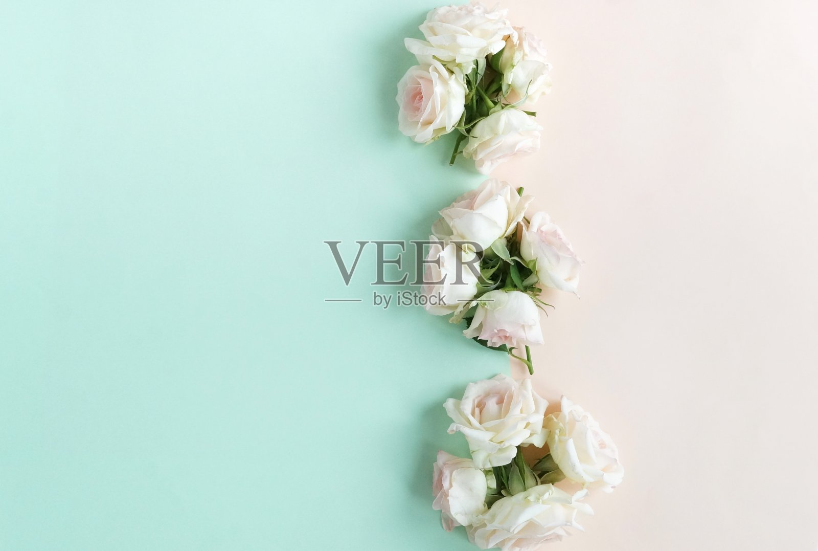 花卉构成背景。美丽的淡粉色玫瑰在淡粉色薄荷背景。前视图。本空间照片摄影图片