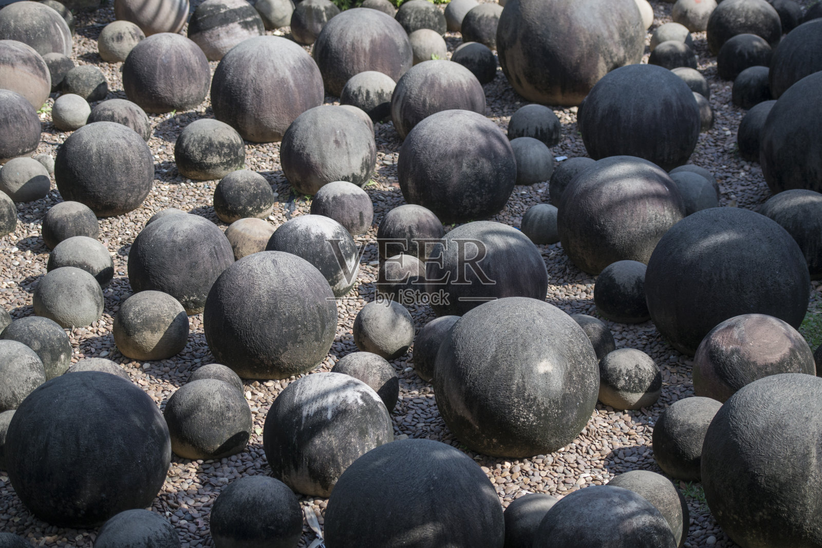 泰国芭堤雅侬nooch热带花园照片摄影图片