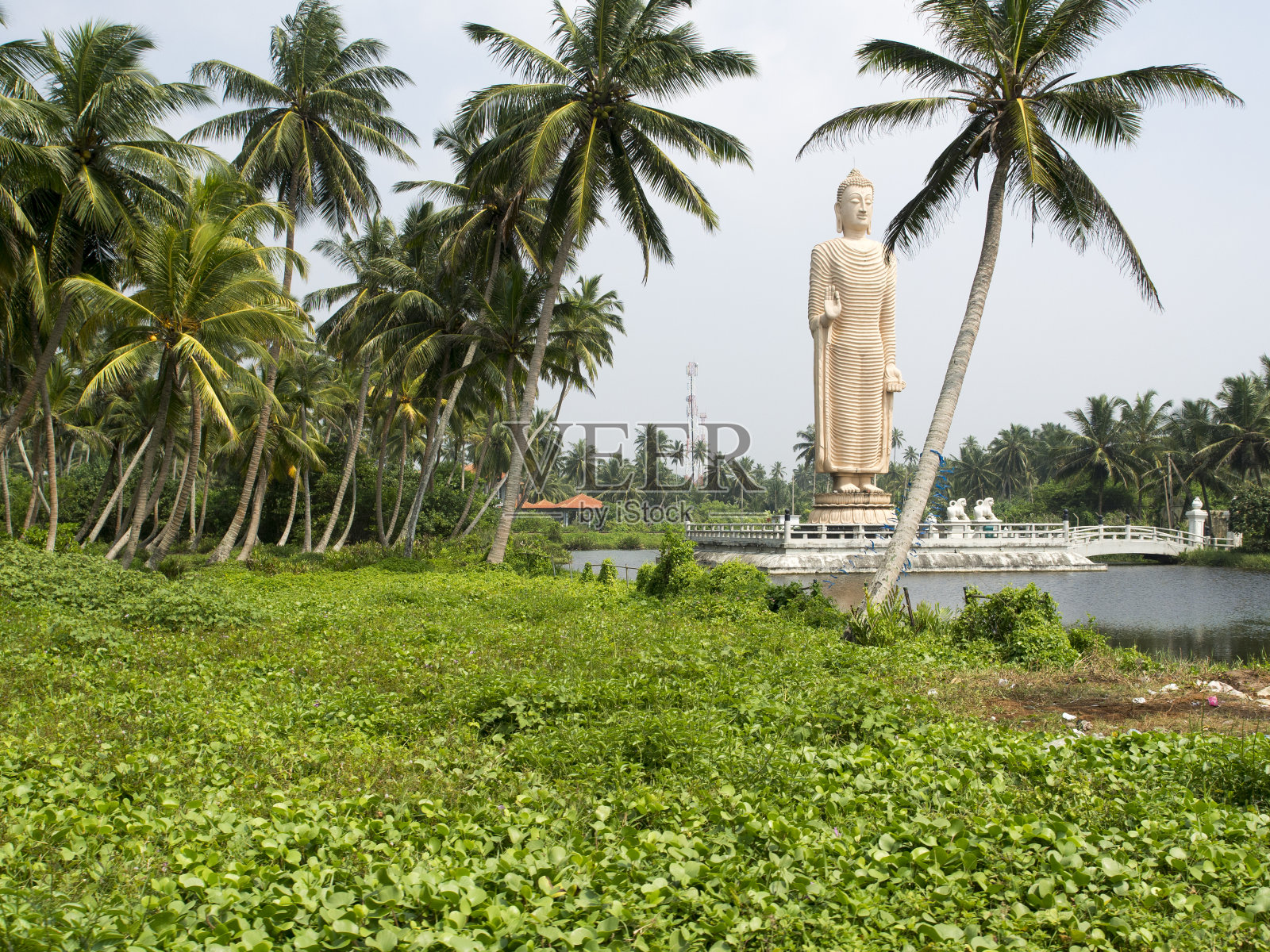 斯里兰卡，海啸纪念馆，Peraliya佛像照片摄影图片
