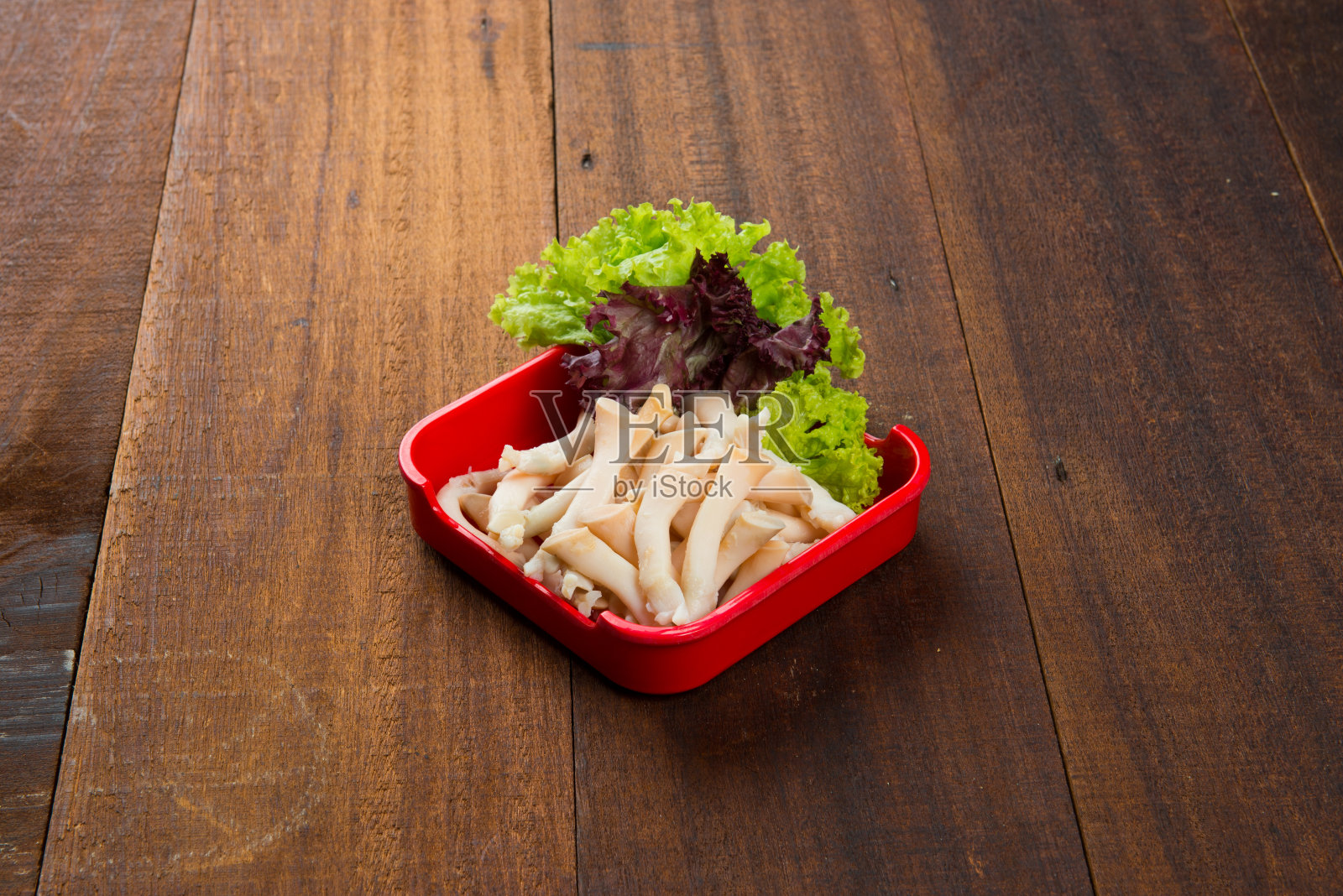 生蘑菇照片摄影图片