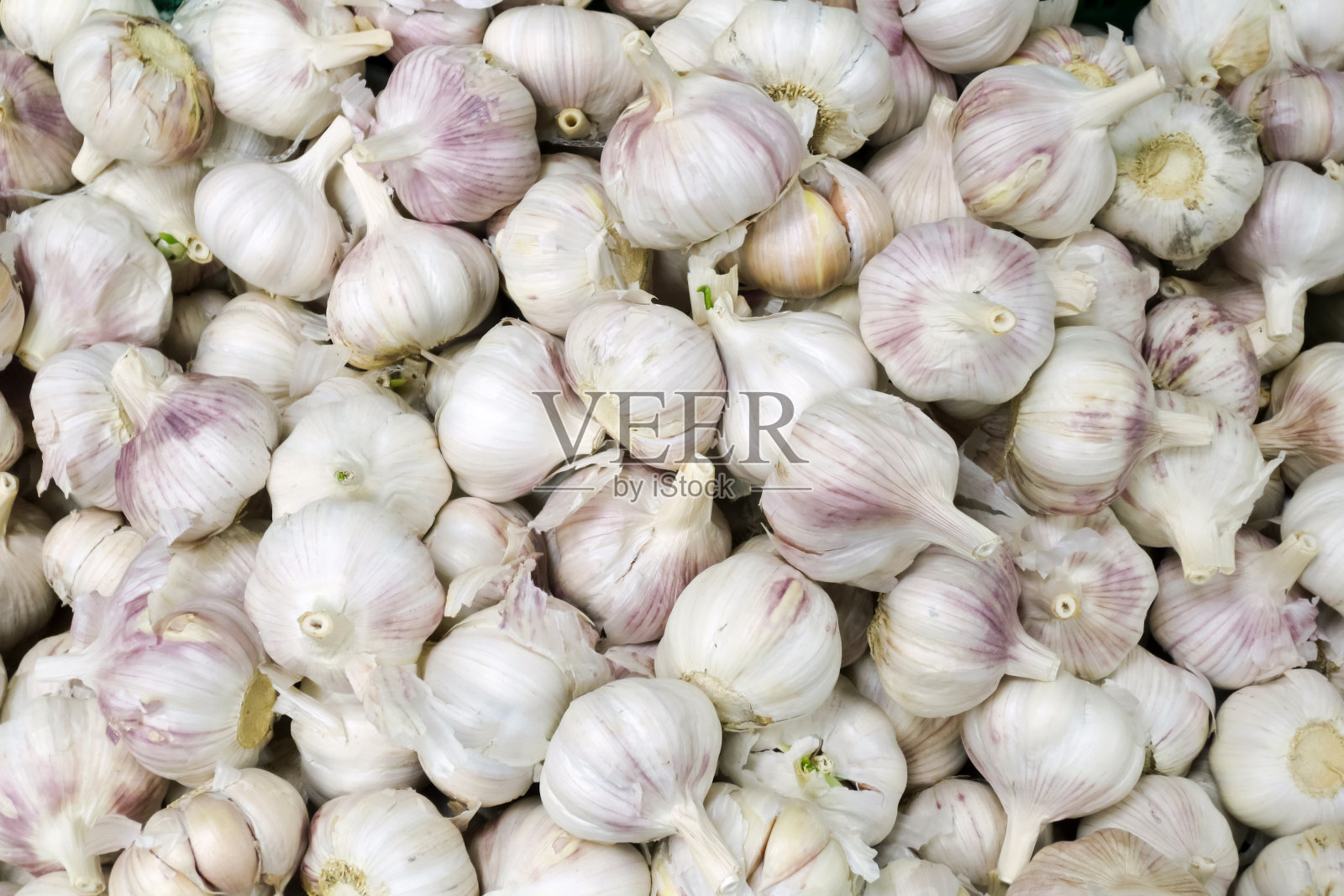 白色大蒜背景照片摄影图片