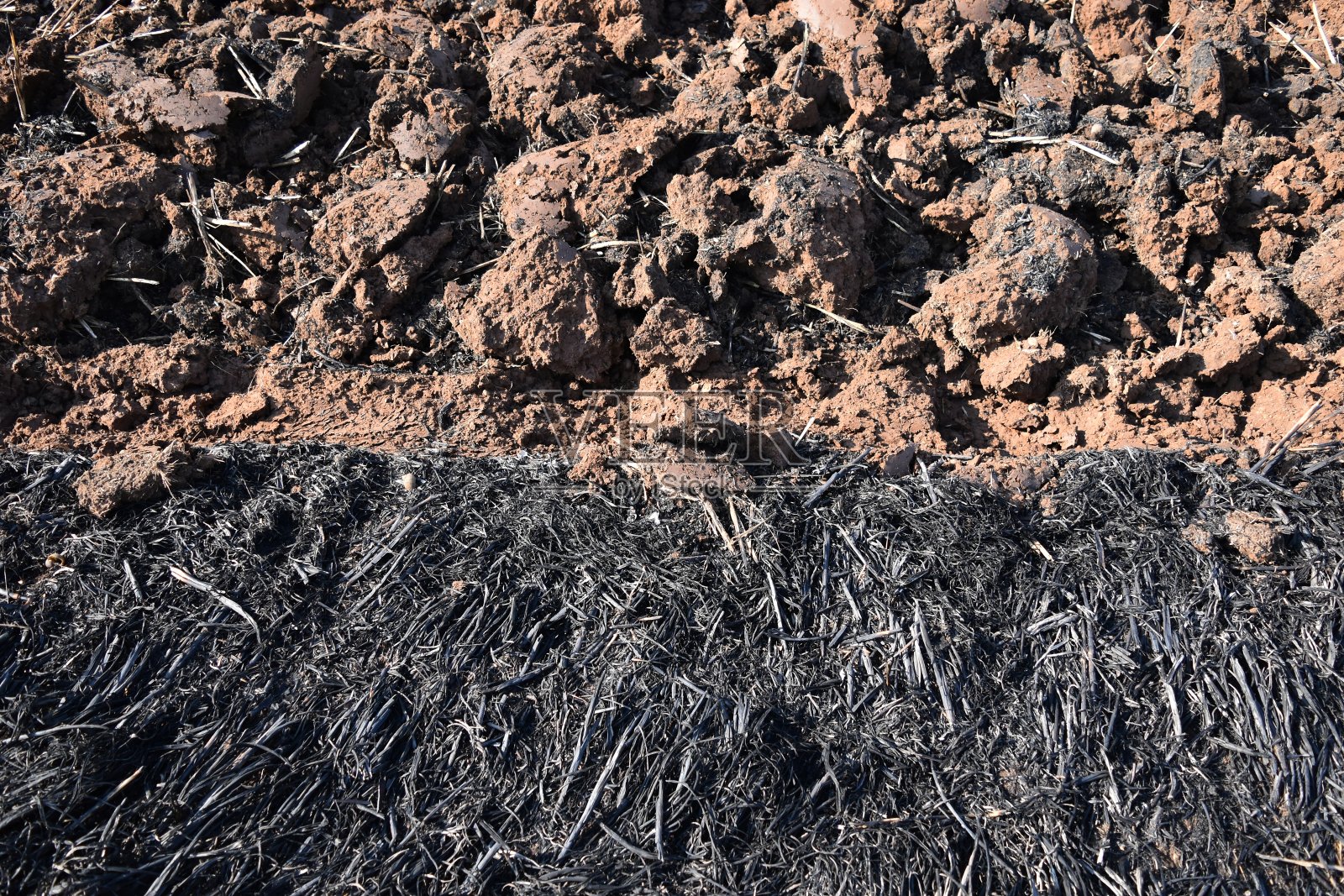 水稻种植前稻田秸秆灰和土壤块照片摄影图片