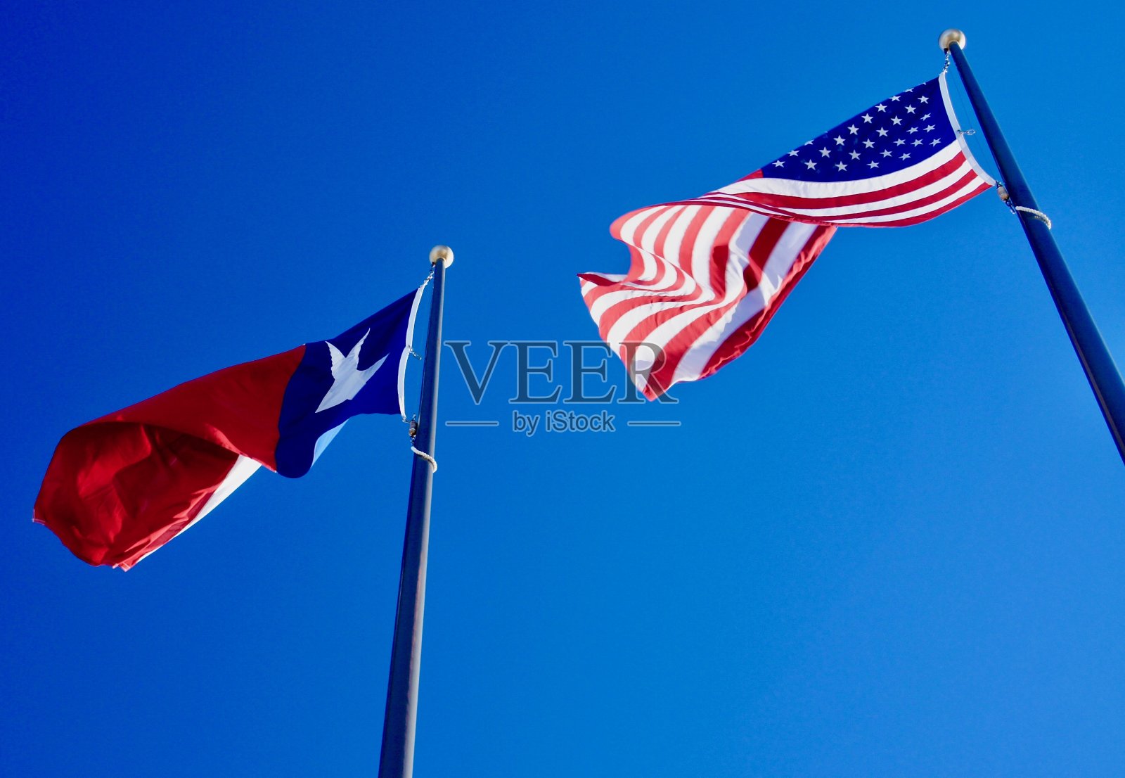 美国和德克萨斯国旗照片摄影图片