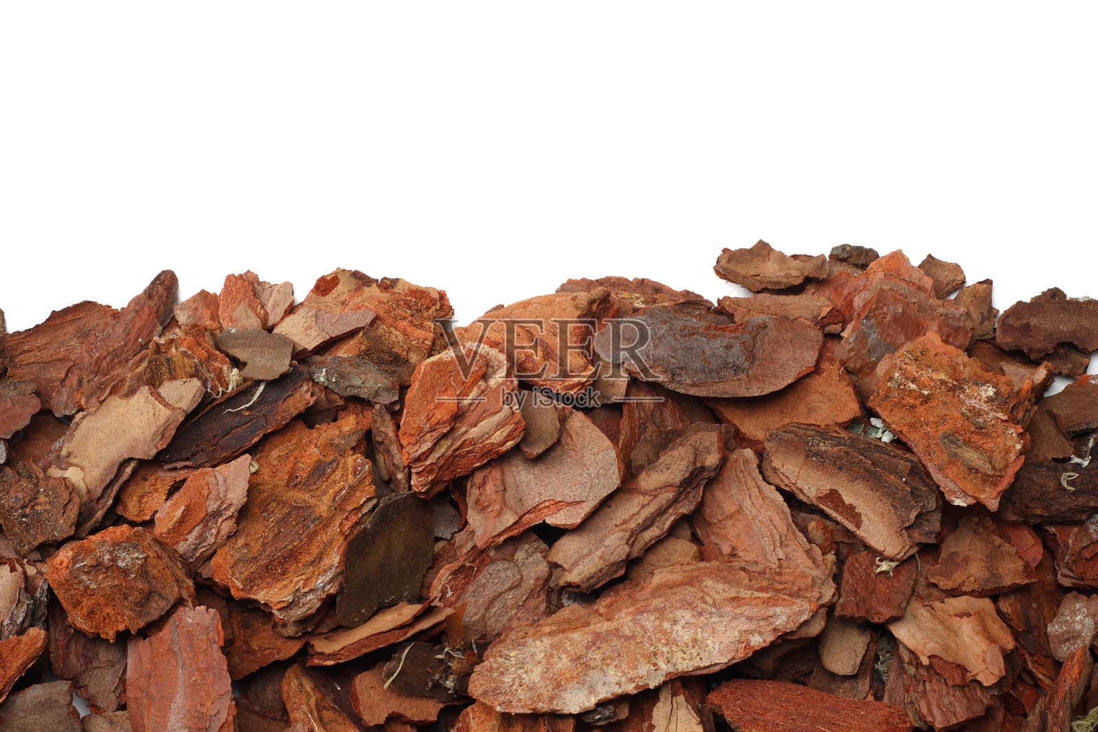 在白色背景上孤立的树皮片。俯视图照片摄影图片