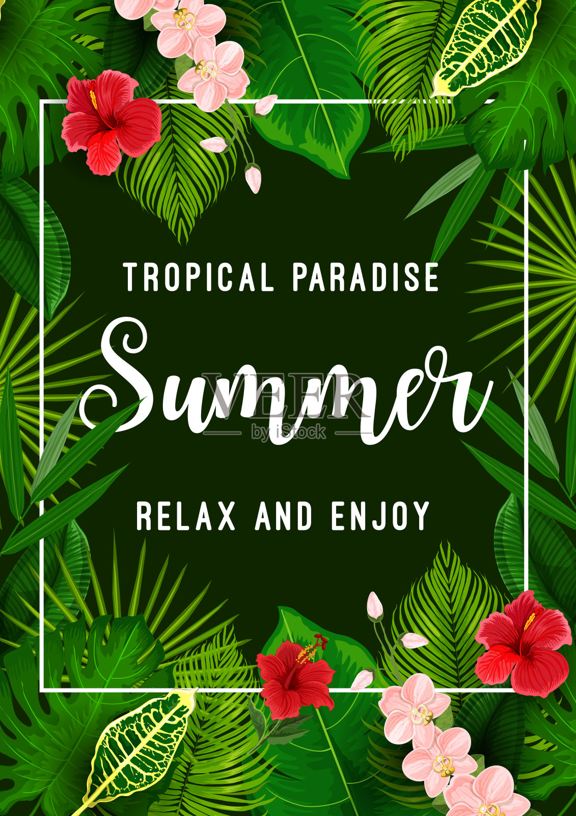 夏日热带天堂卡与棕榈叶框架插画图片素材