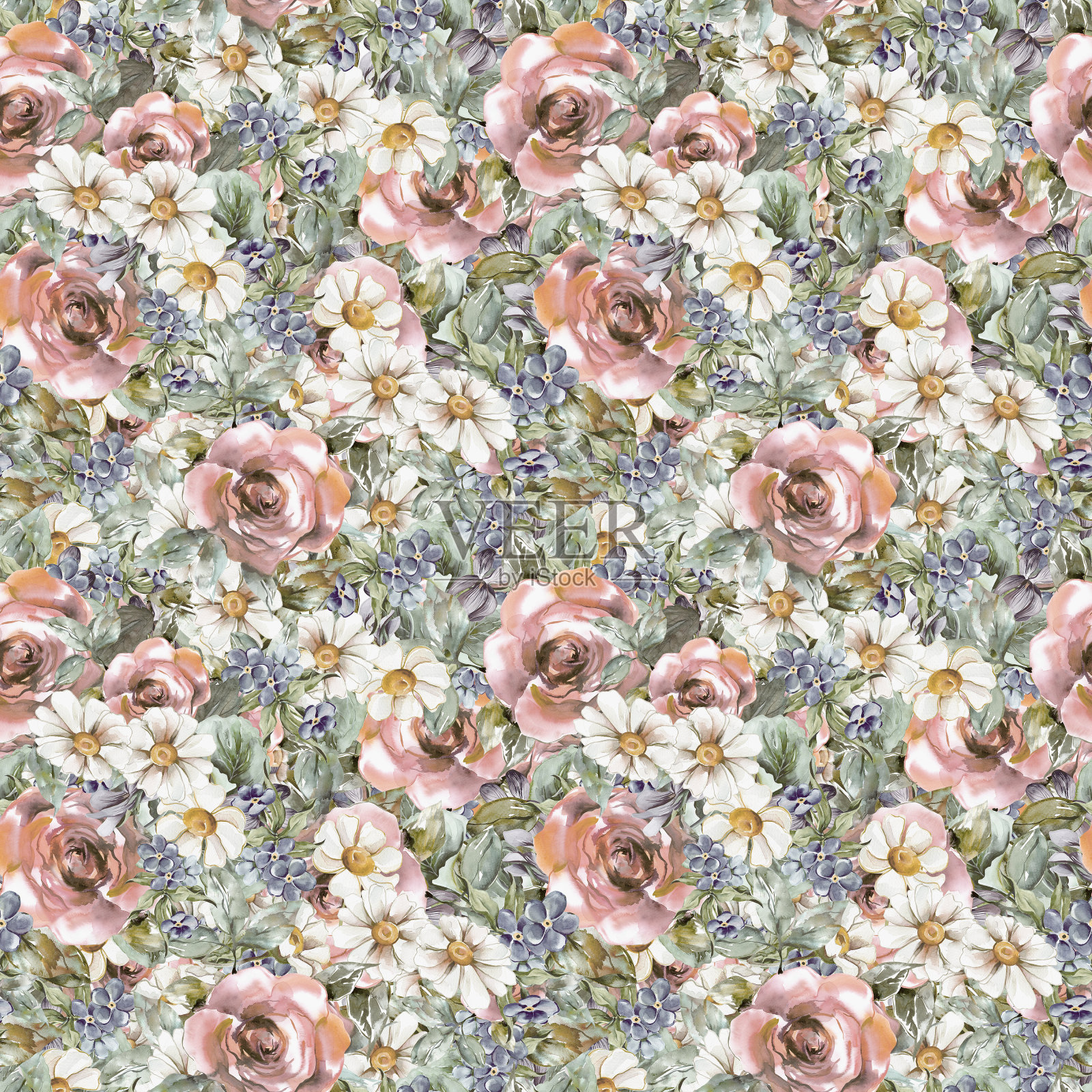 无缝图案与玫瑰，洋甘菊和勿忘我花。插画图片素材
