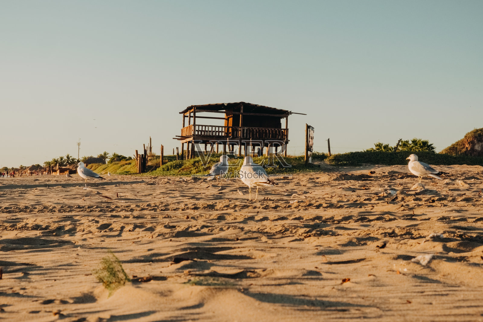 El Maviri海滩照片摄影图片