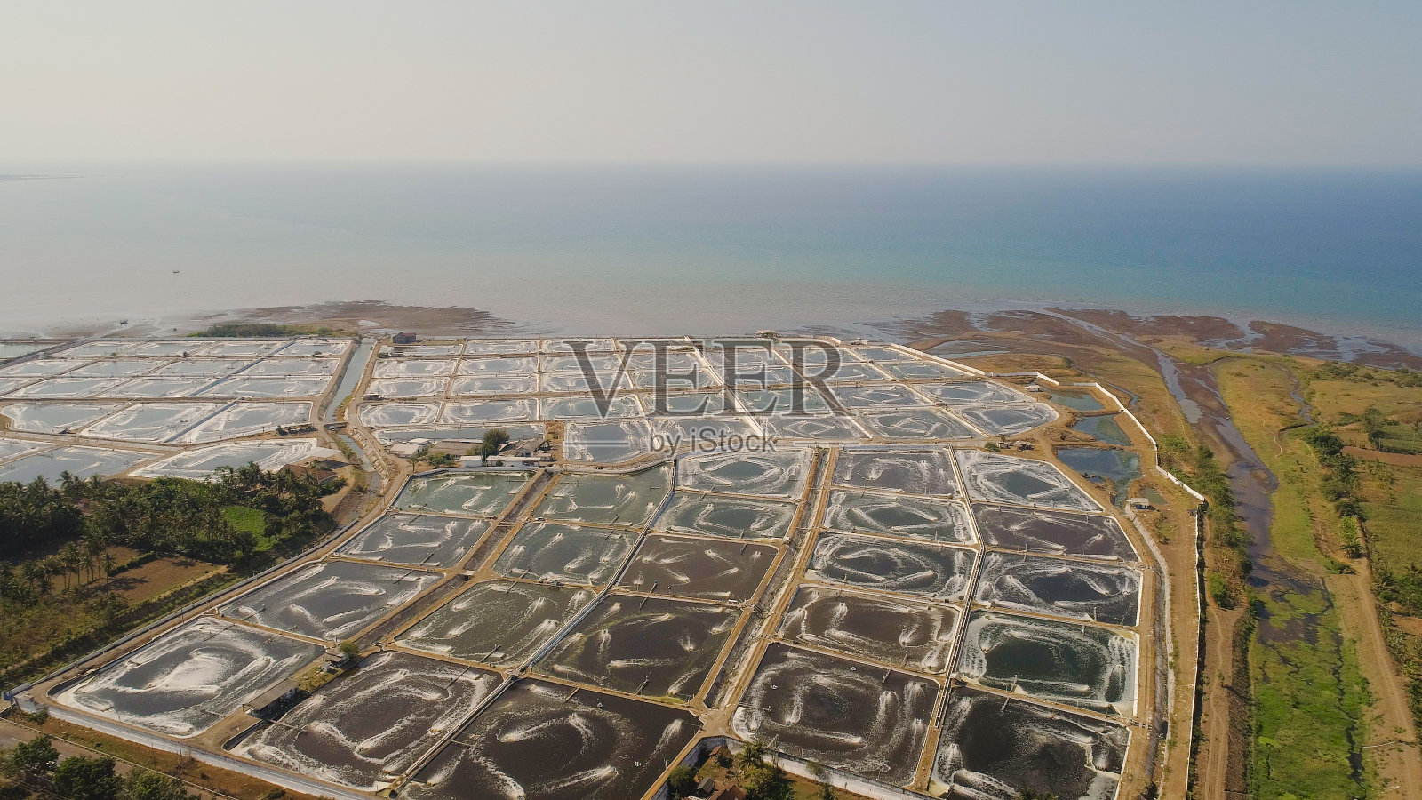 印尼的虾养殖业照片摄影图片