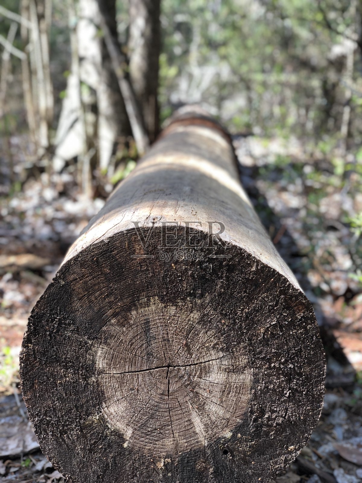 河流和湖泊照片摄影图片