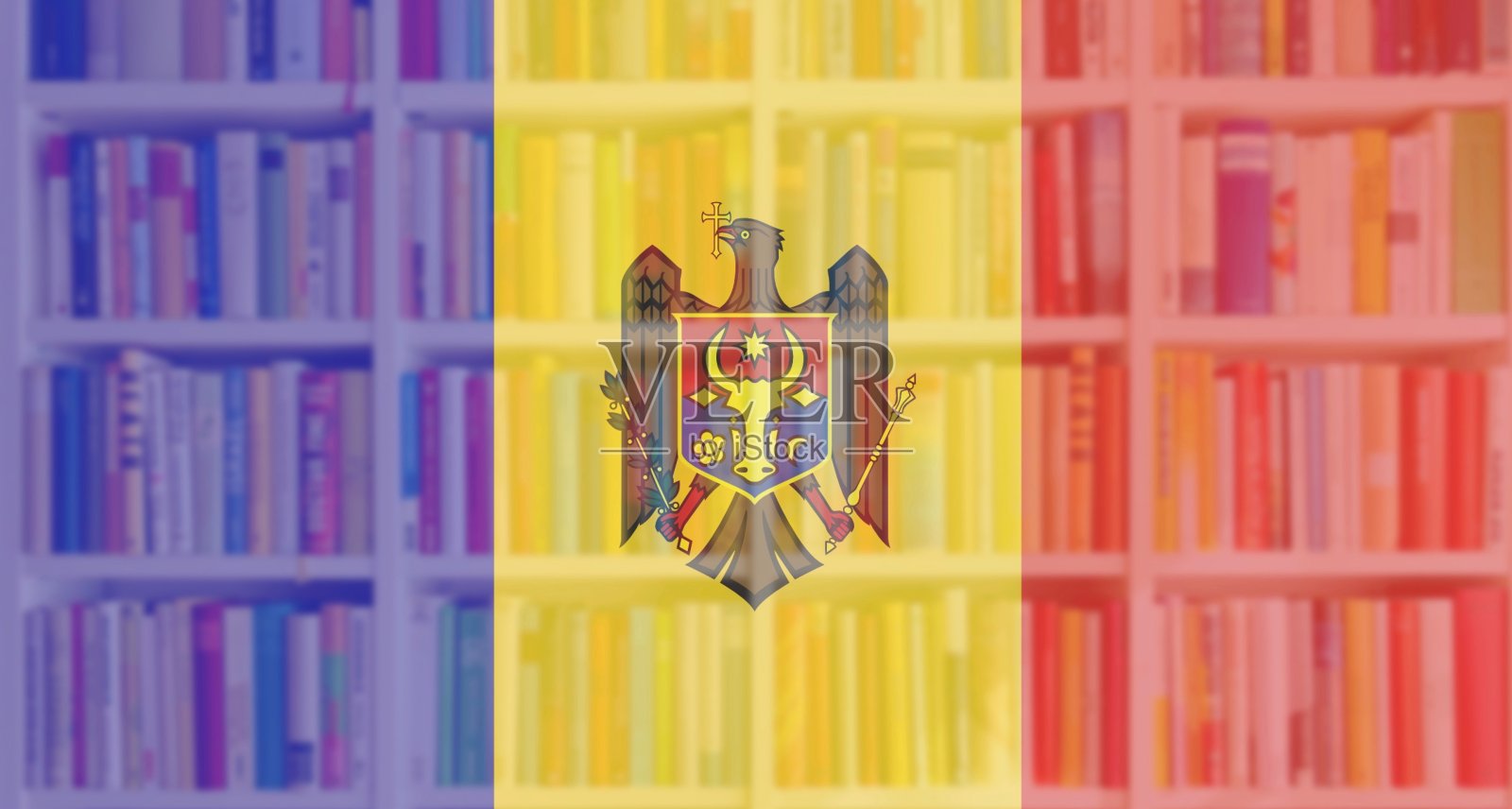 莫尔达维亚旗与完整的书架背景照片摄影图片