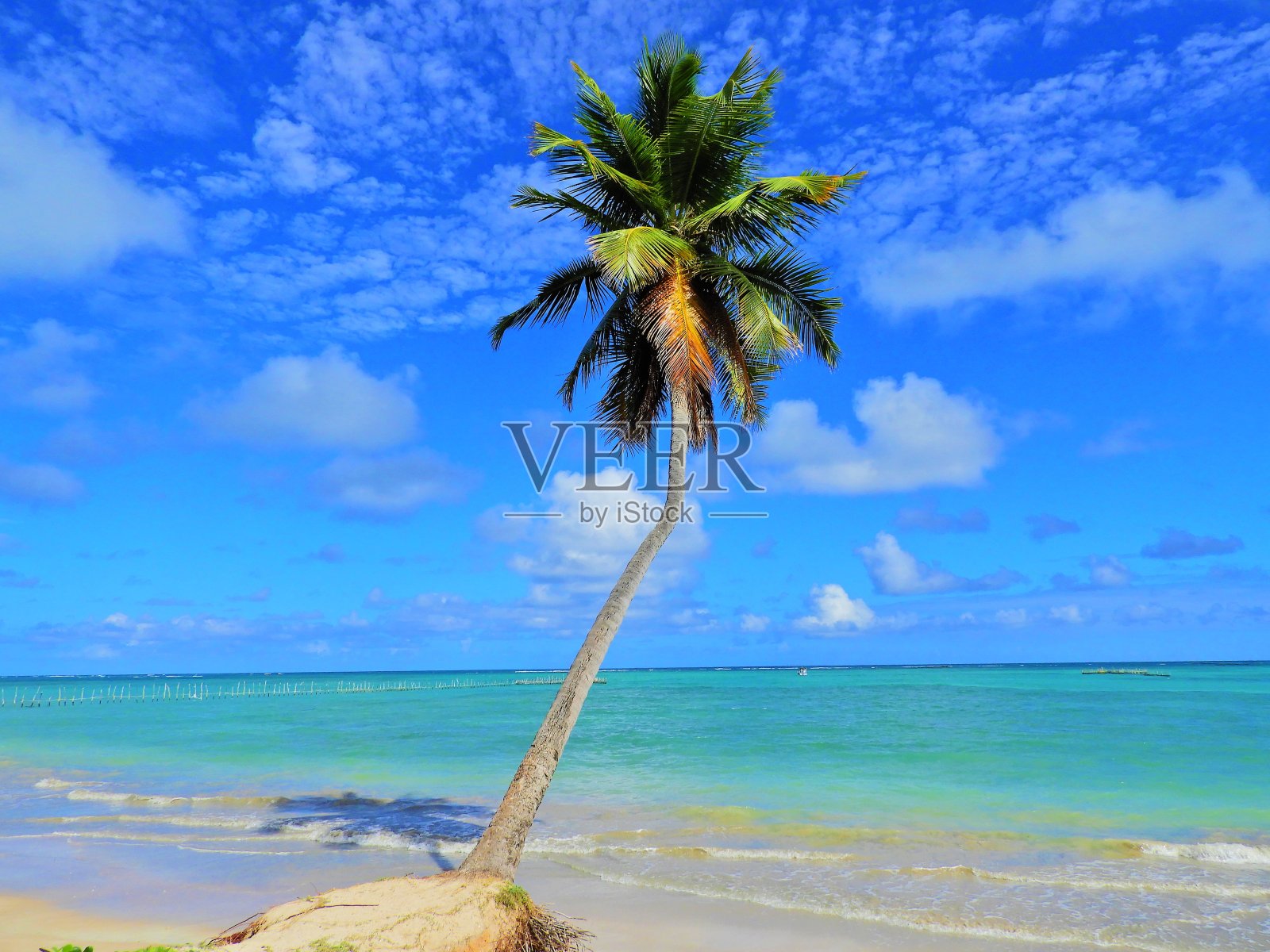 在巴西的天堂海滩度假照片摄影图片