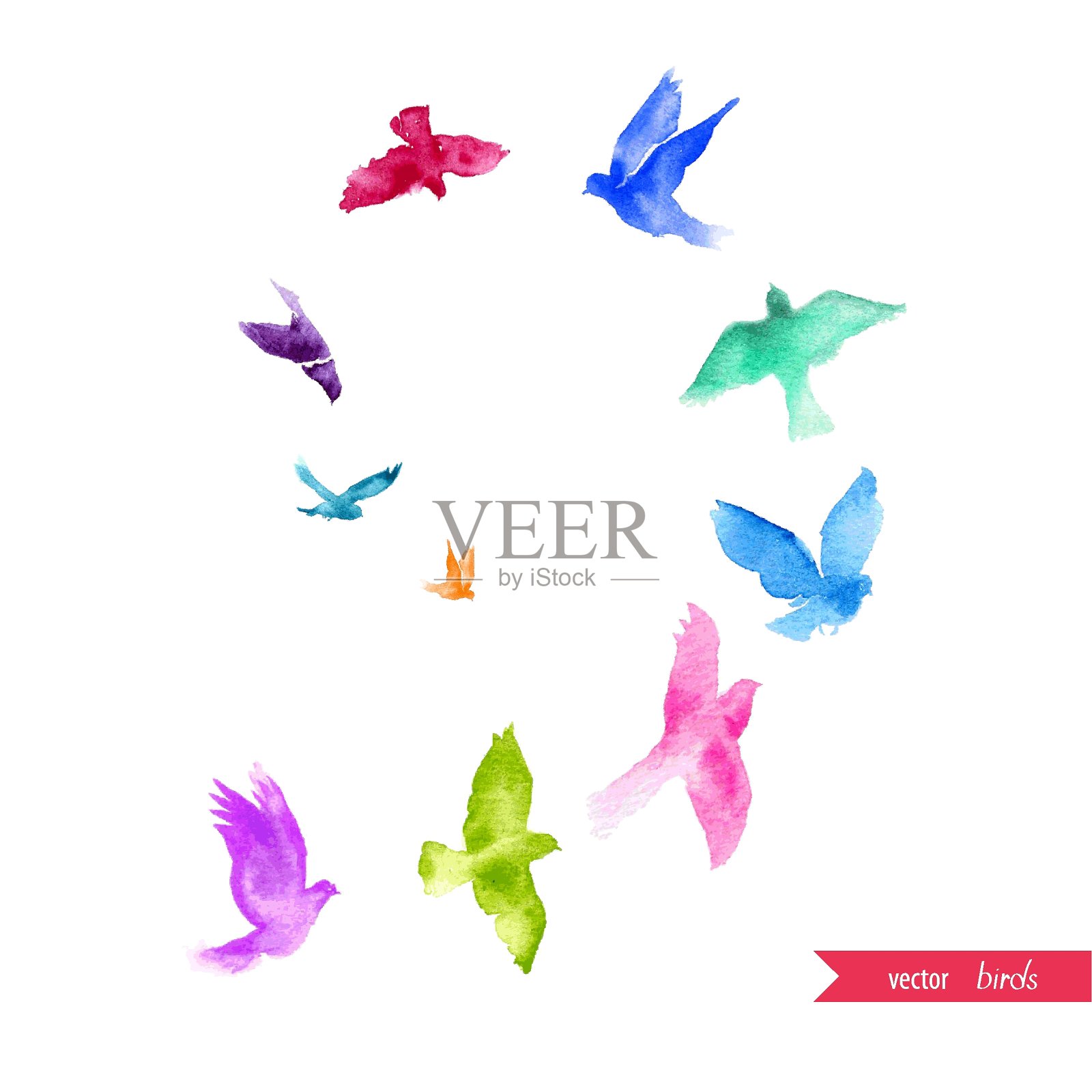 水彩鸟矢量背景-矢量插画图片素材