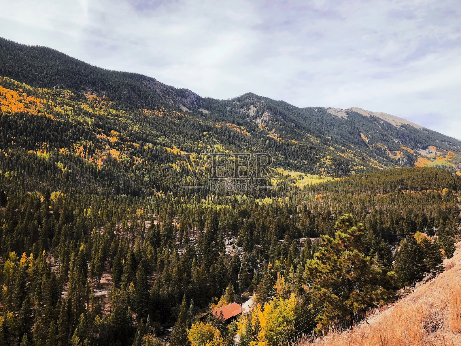 秋天在科罗拉多州照片摄影图片
