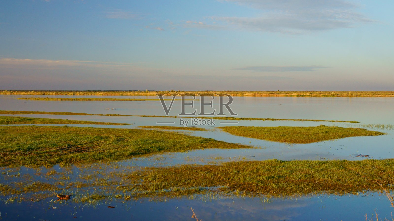 美丽的春天的背景。春季的河漫滩。伊犁河湿地。哈萨克斯坦。照片摄影图片