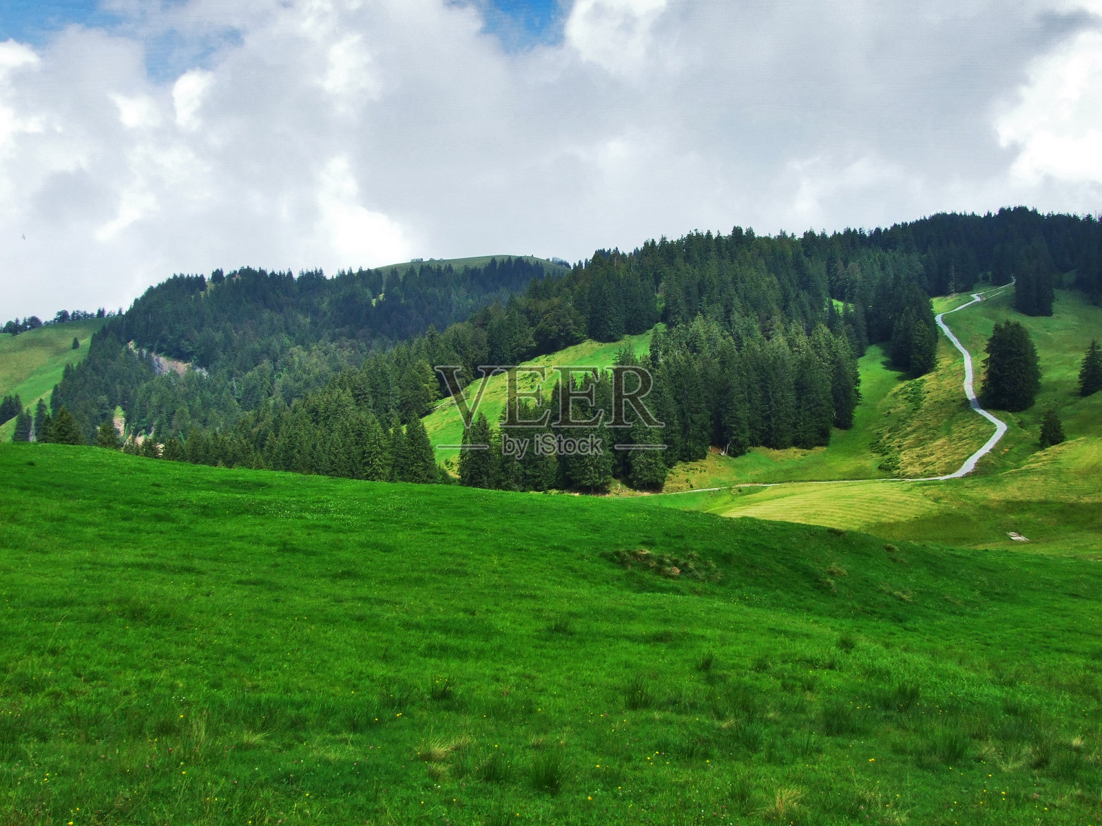 奥斯特施韦兹风景如画的山丘、森林和牧场照片摄影图片